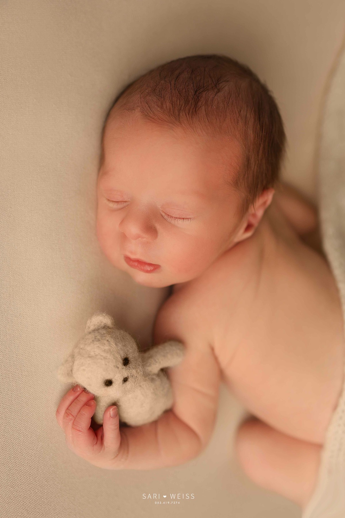 מפעל הפורמטים237A2858 copy מוק.jpg