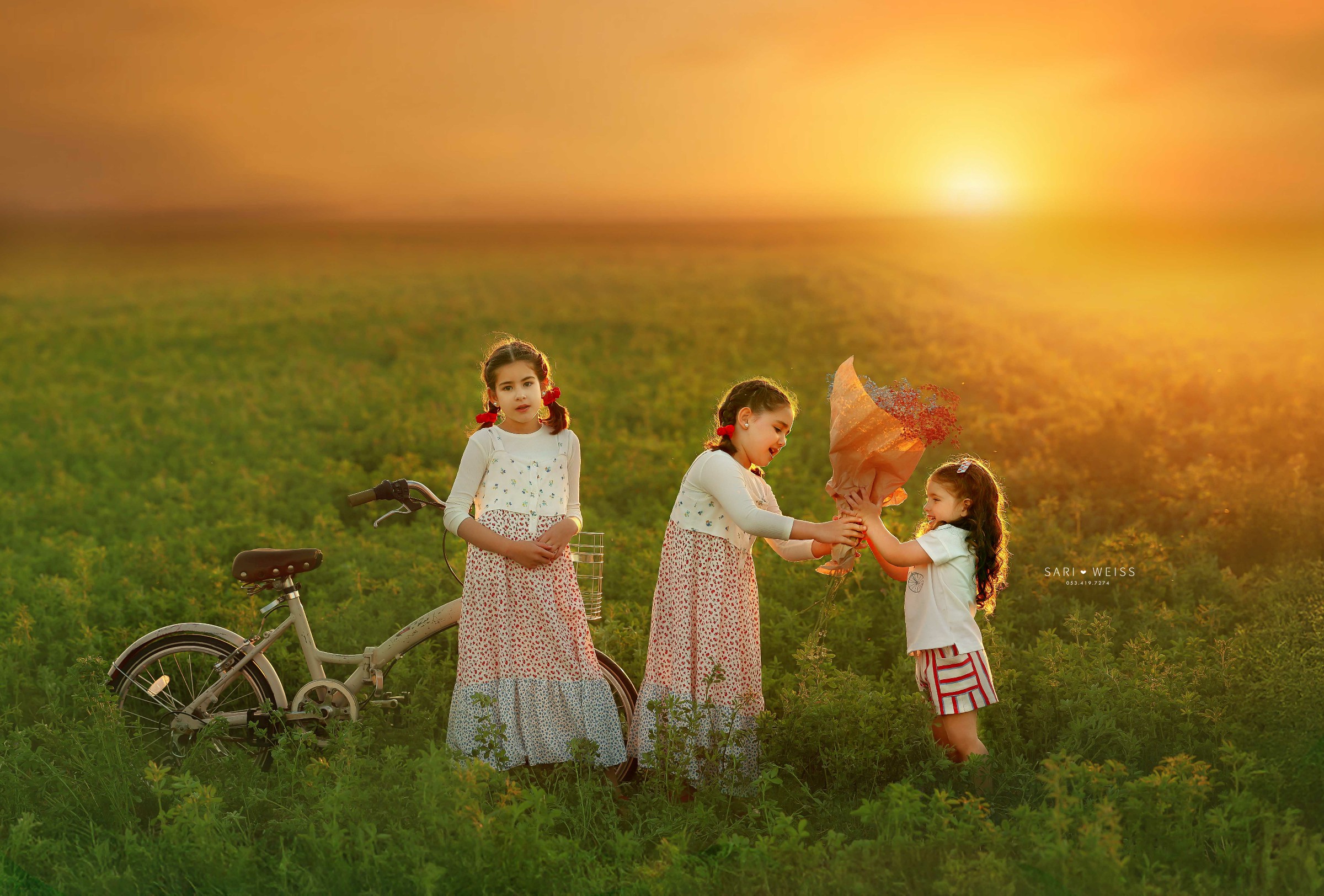 מפעל הפורמטים237A9647 copy מוק.jpg