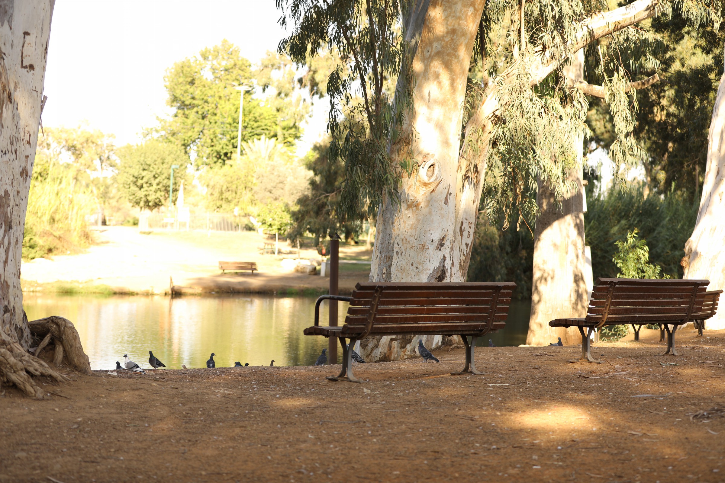 מפעל הפורמטים2W3A5841.jpg