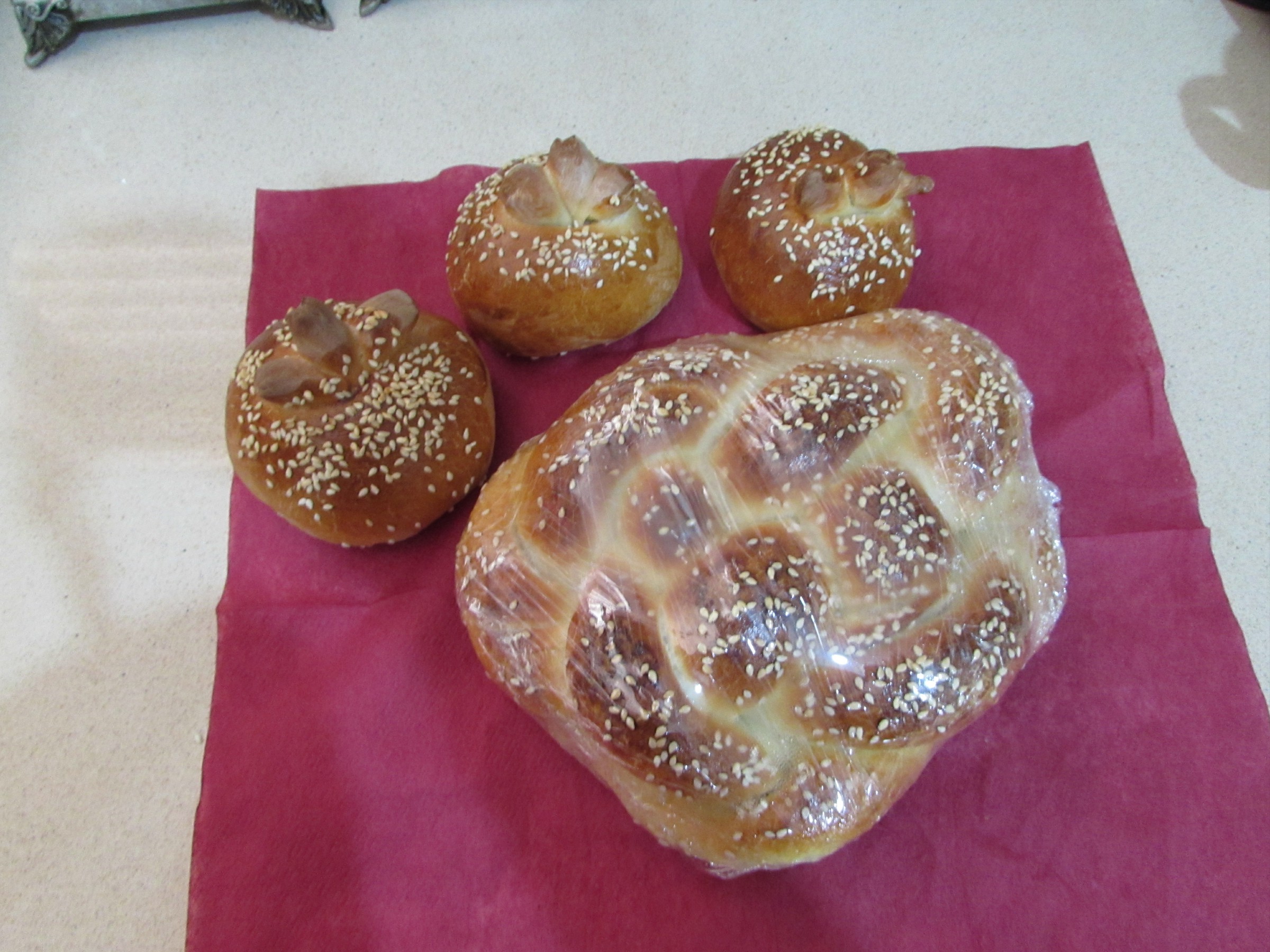 מפעל הפורמטיםIMG_8664.jpg