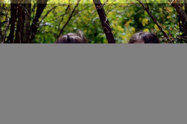 מפעל הפורמטיםIMG_9564.jpg