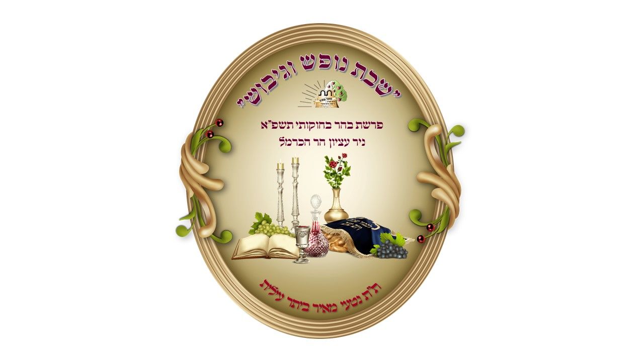 מצגת1.jpg