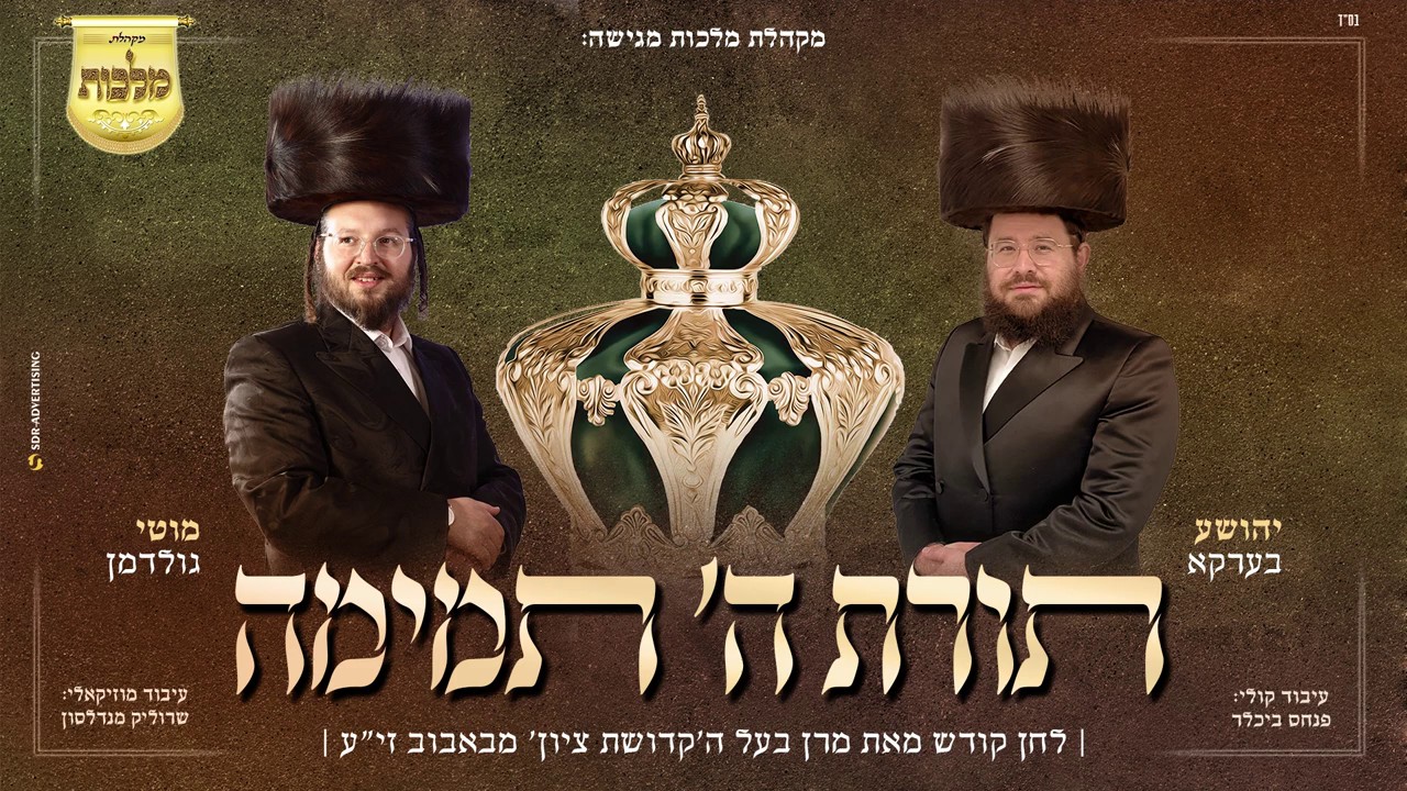 מקהלת מלכות, שייע בערקא, מוטי גולדמן - תורת ה' תמימה - באבוב.jpg