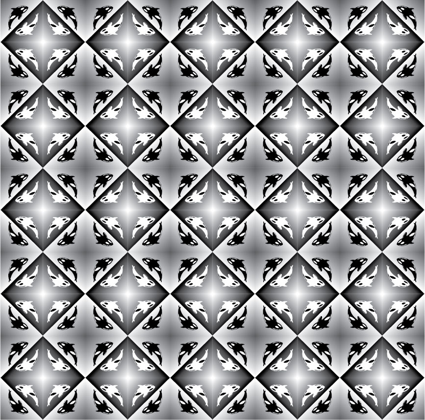 מקור מפותח.jpg