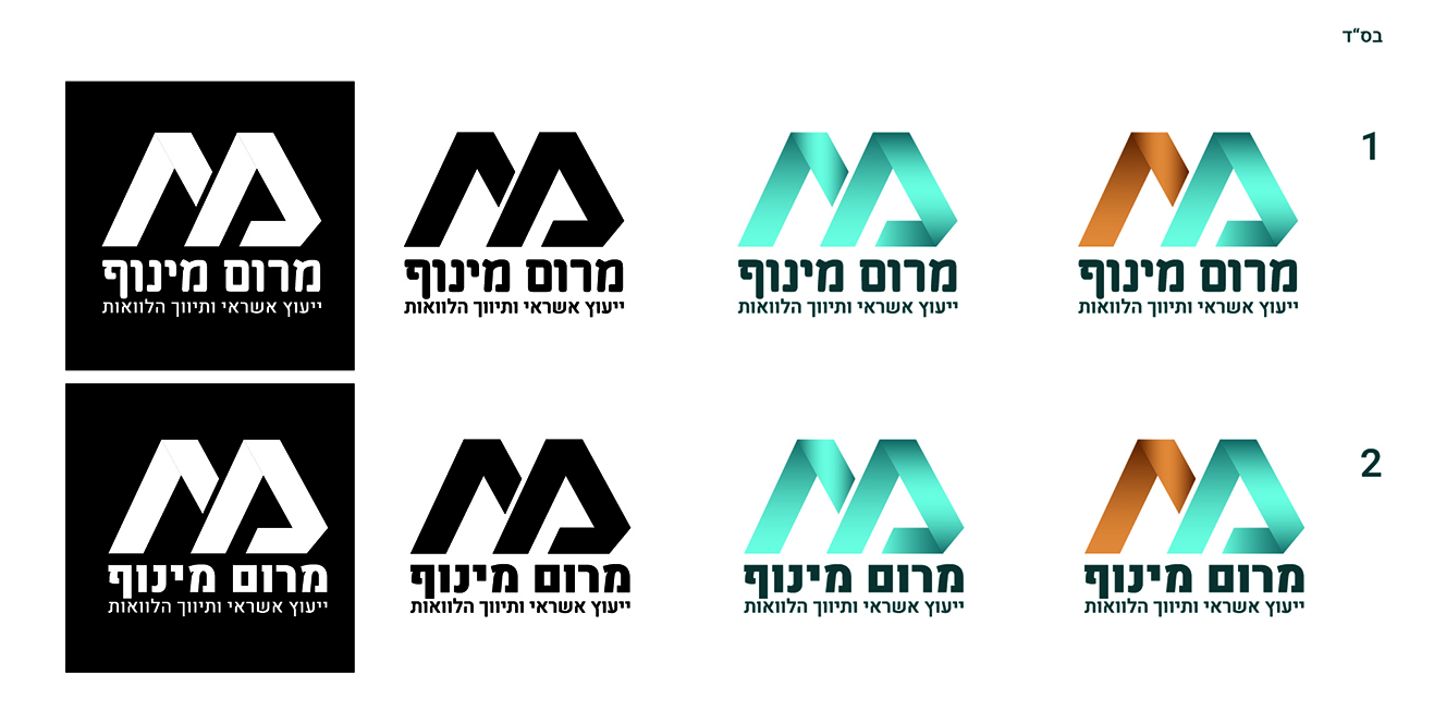 מרום מינוף.jpg