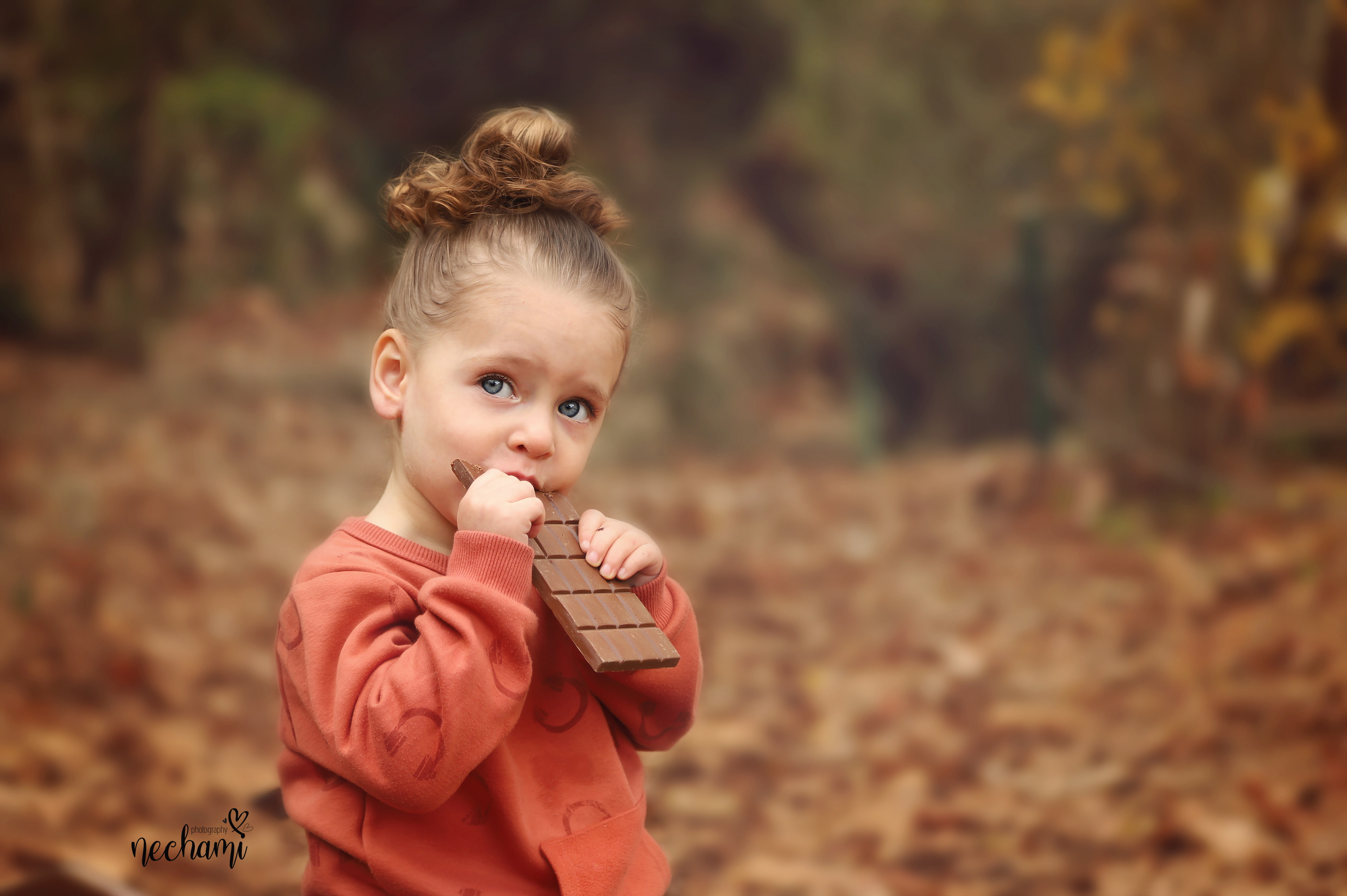 מריצה שוקוולד קרוב.jpg