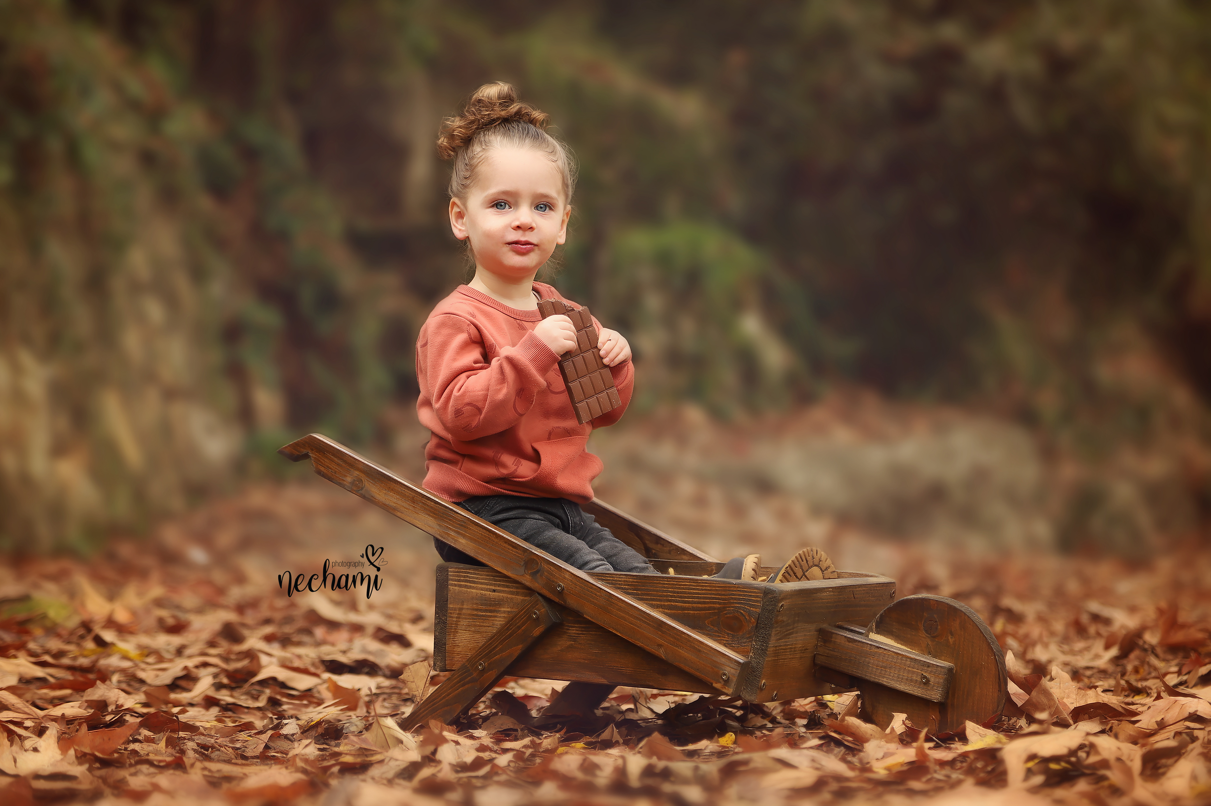 מריצה שוקוולד רחוק. copy.jpg