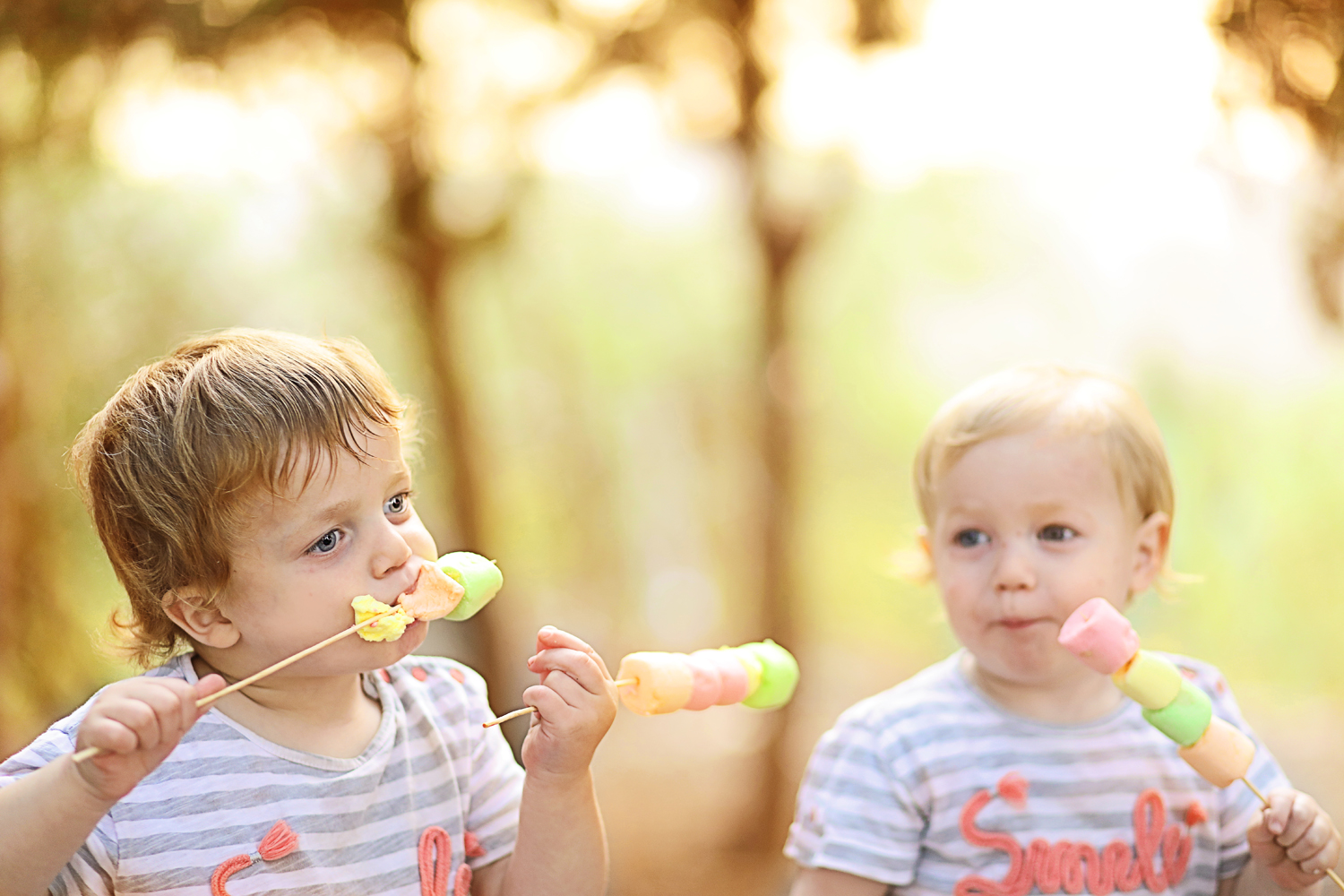 מרשמלו קטן.jpg