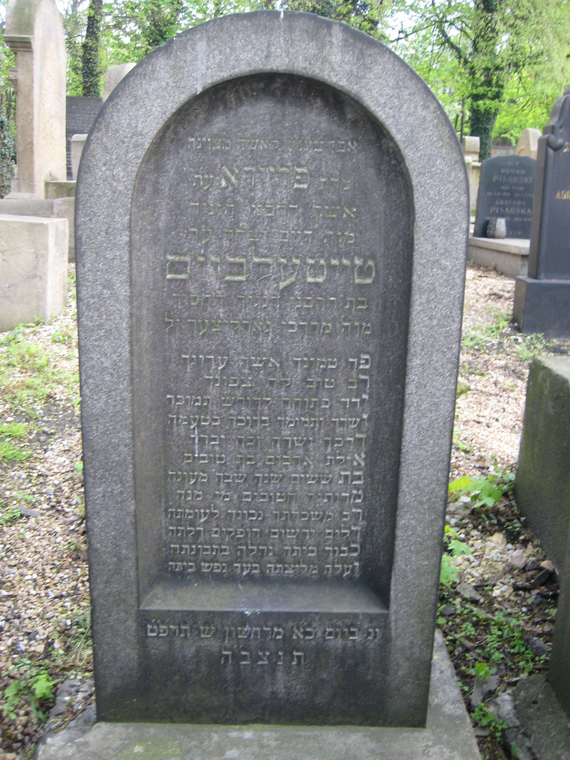 מרת פריידא טייטלבוים.jpg
