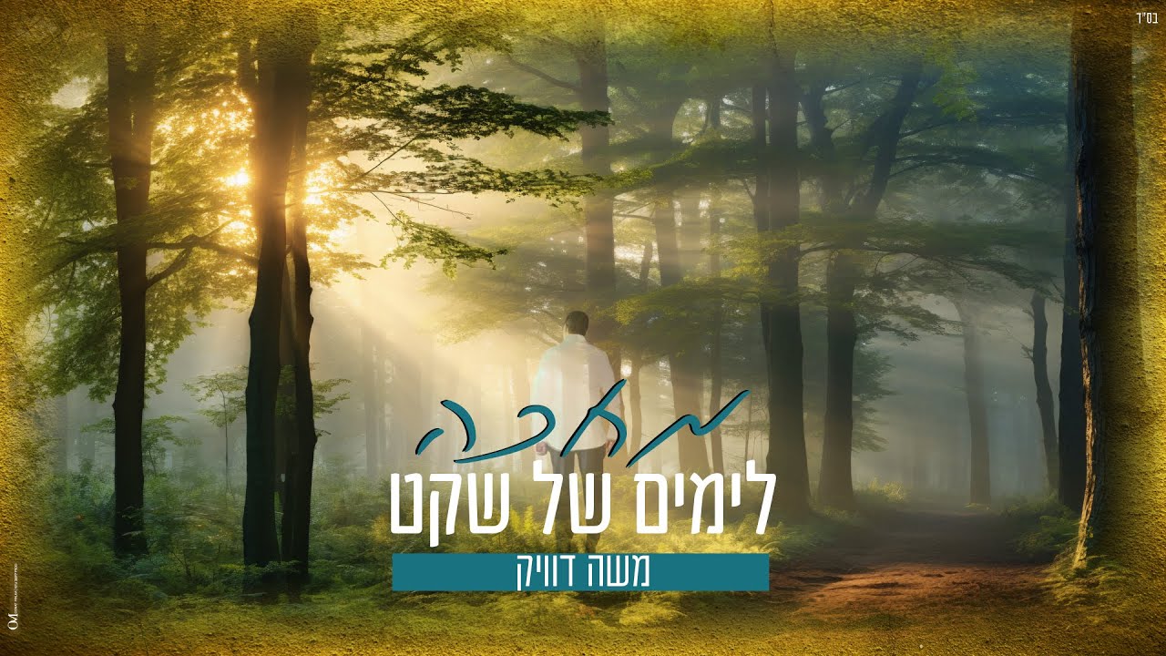 משה דוויק - מחכה לימים של שקט.jpg