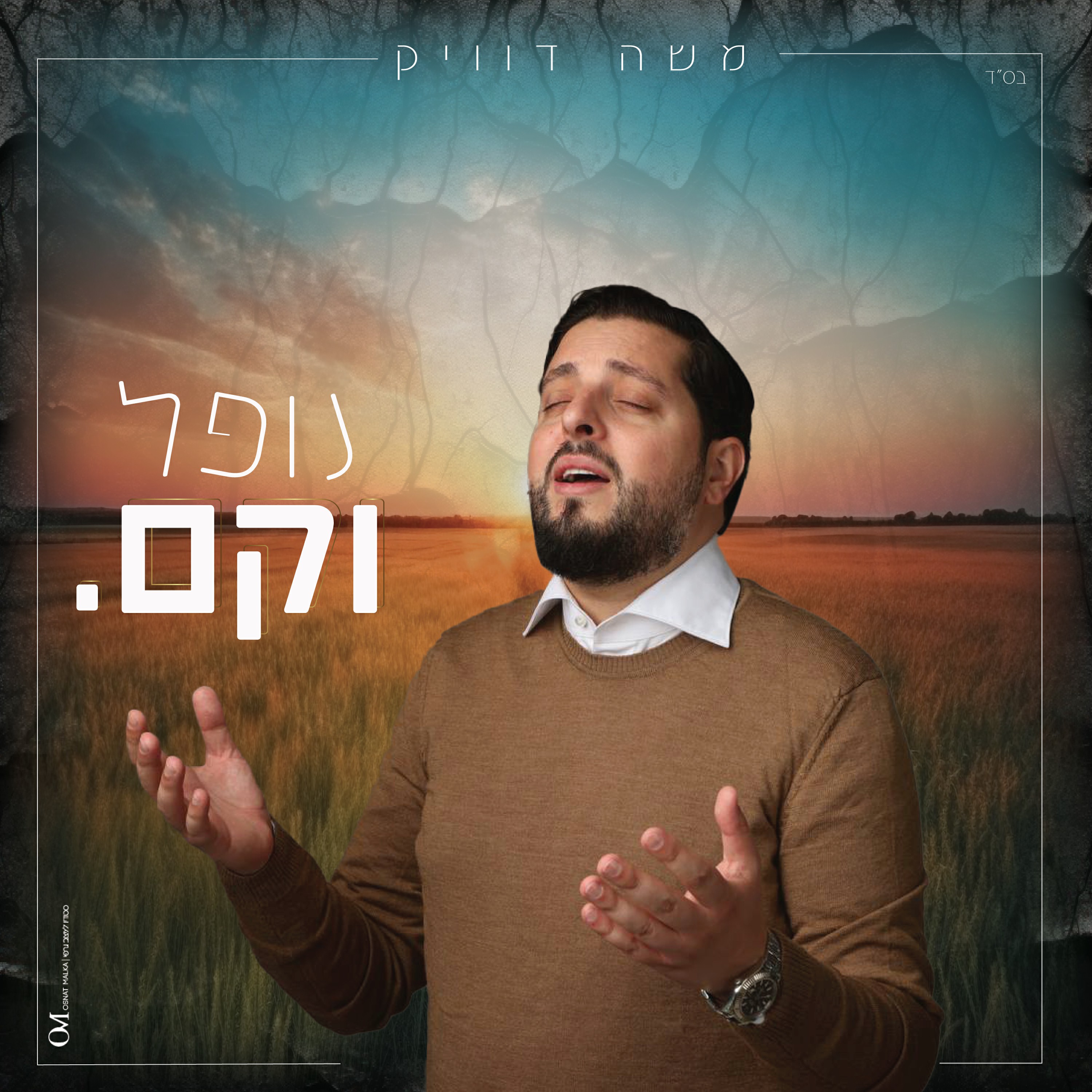 משה דוויק - נופל וקם.jpg