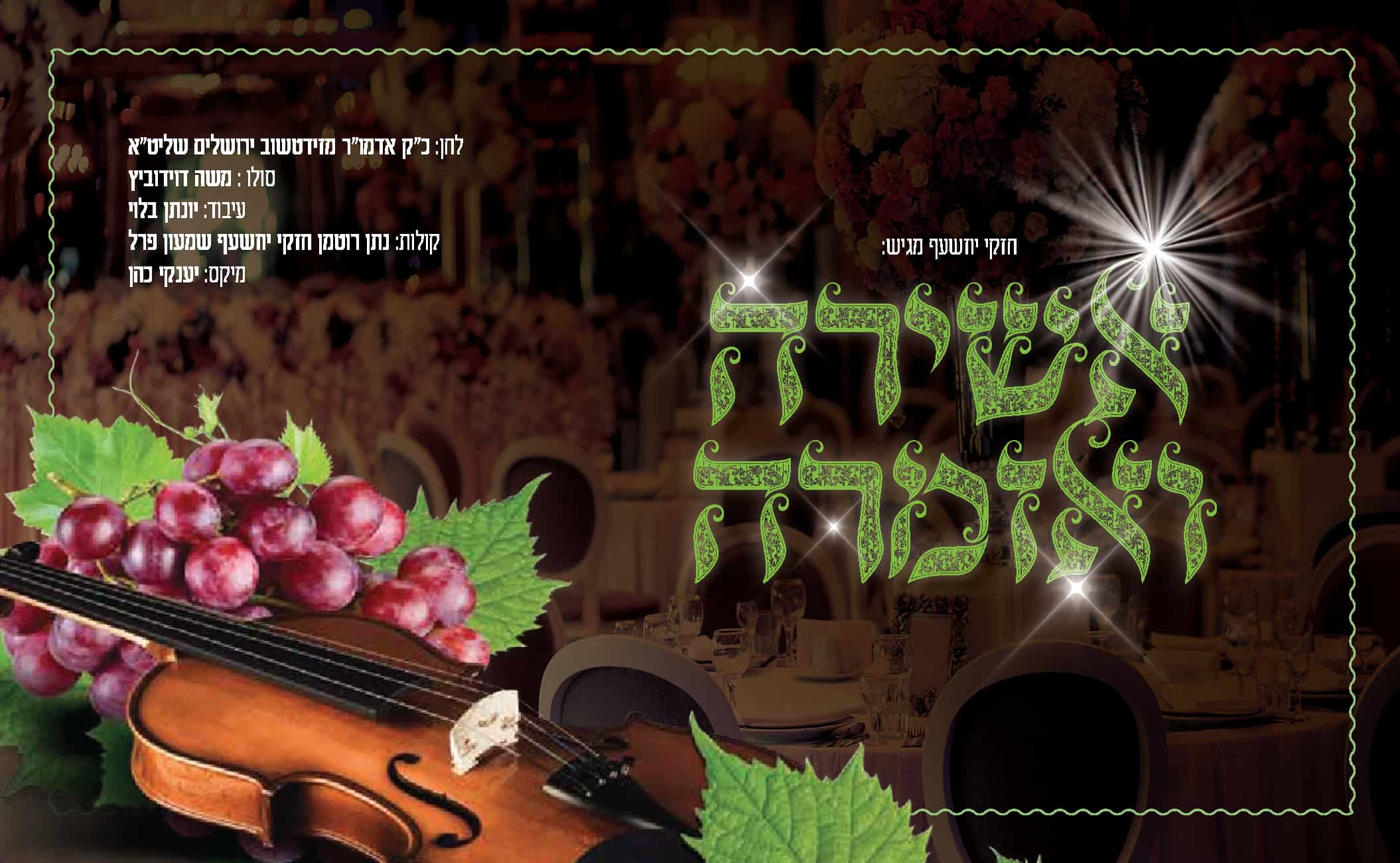 משה דוידוביץ - אשירה ואזמרה.jpg