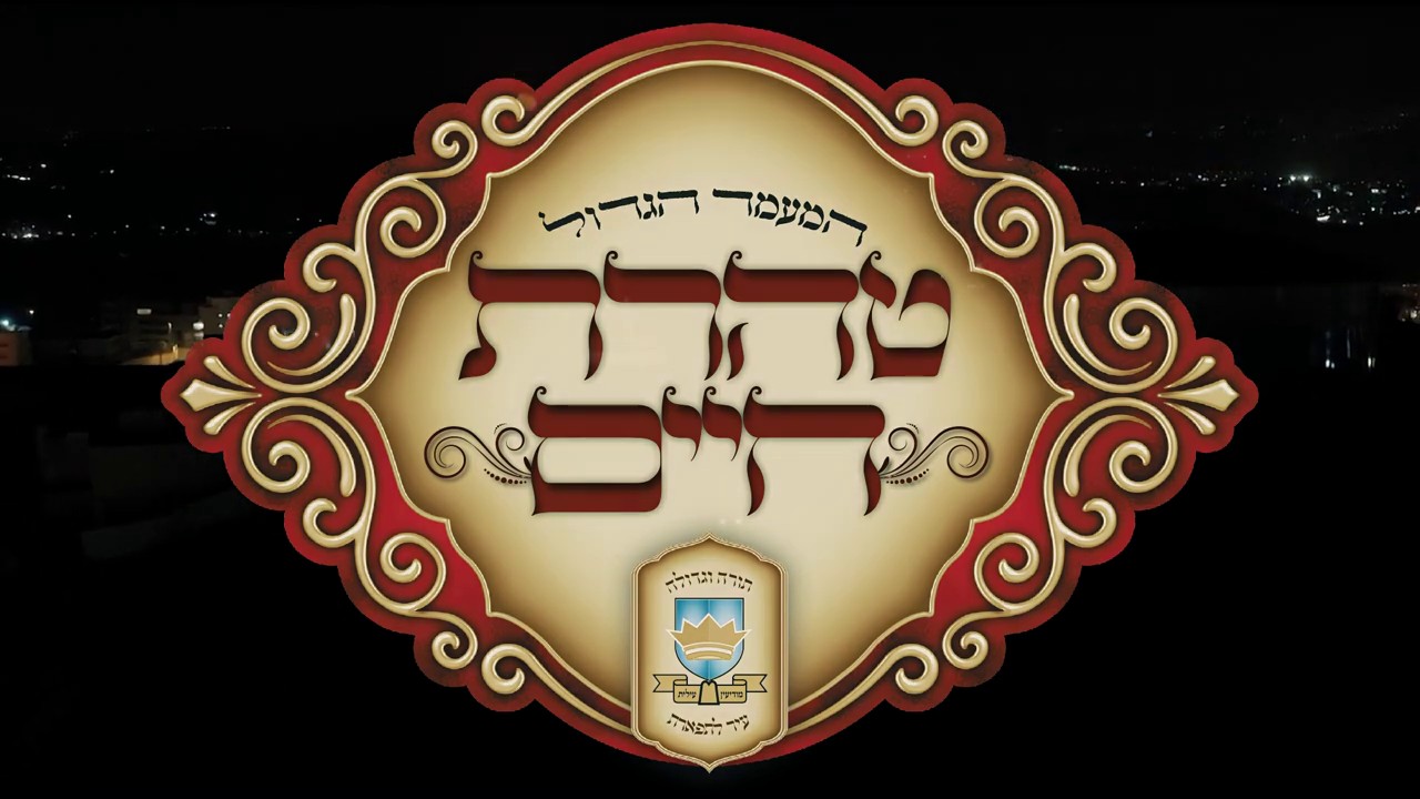 משה וינטרוב, מקהלת מלכות, תזמורת המנגנים - טיהר ר' חיים עצמו & ניגון מרן שר התורה.jpg