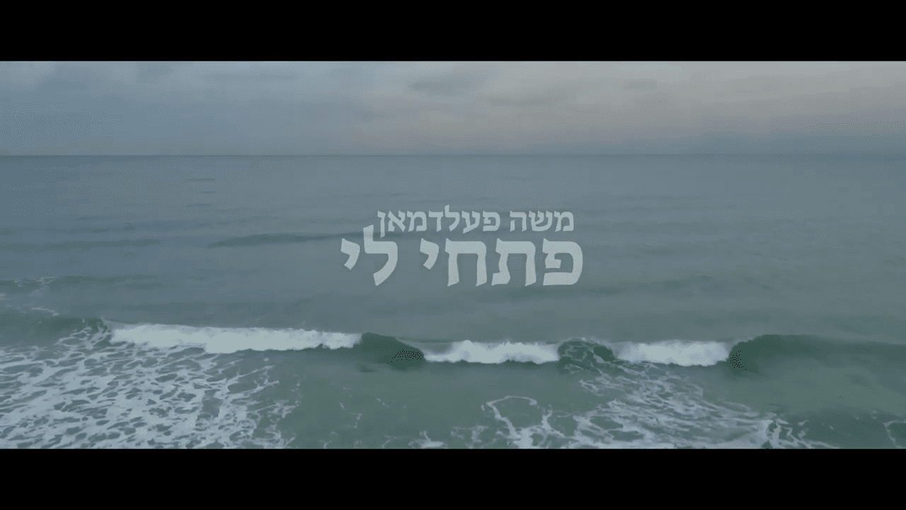 משה פלדמן - קול דודי.png