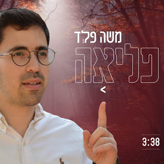 משה פלד - פליאה - תמונה.jpg
