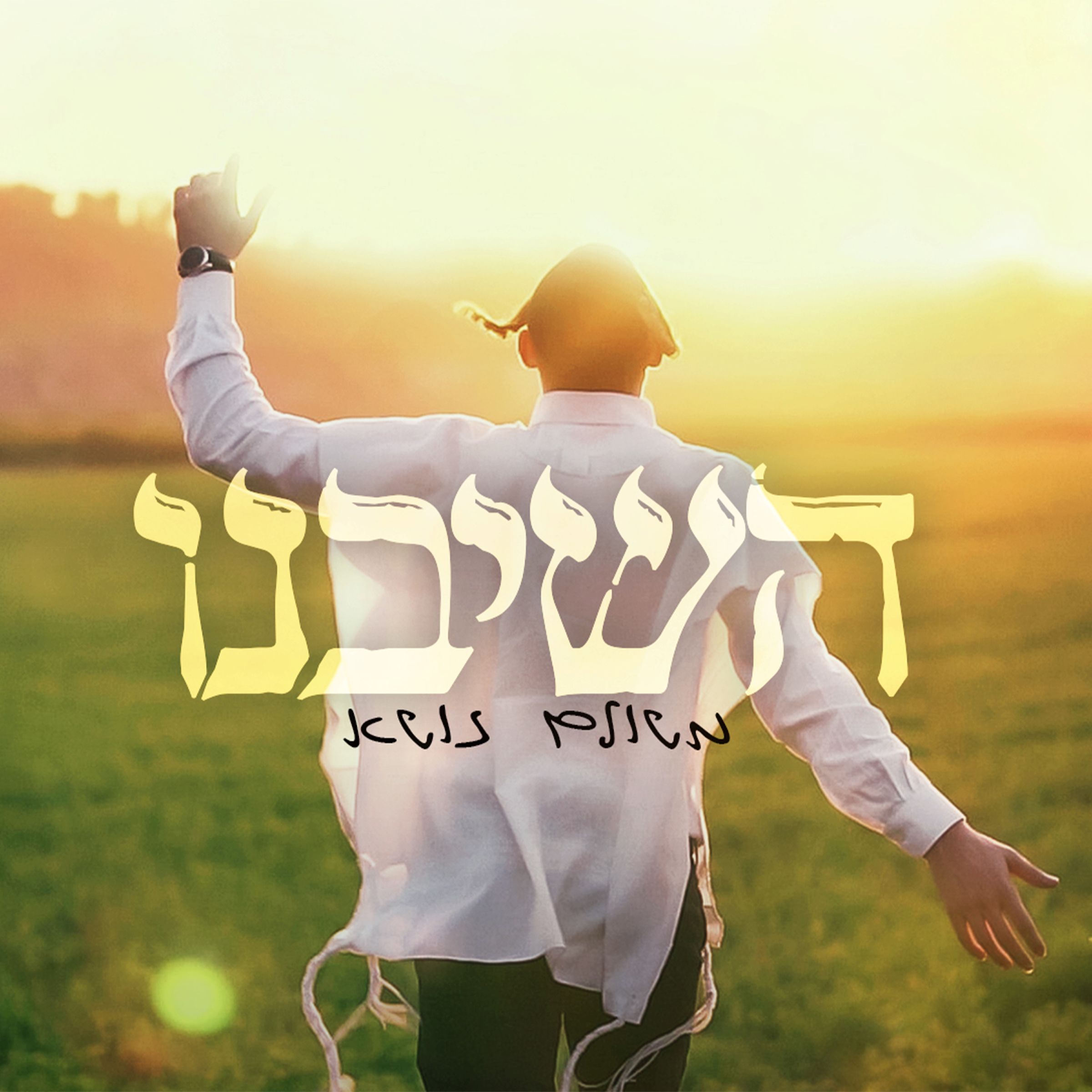 משולם זושא - השיבנו.jpg