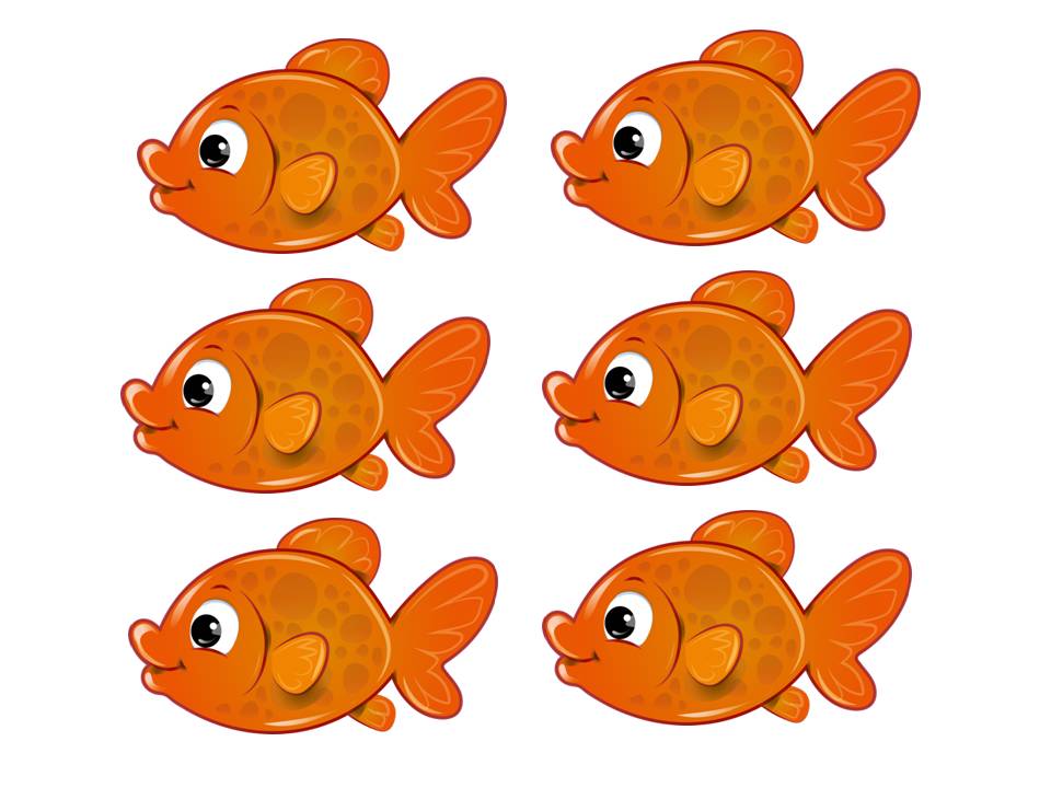 משחק הדגים.jpg