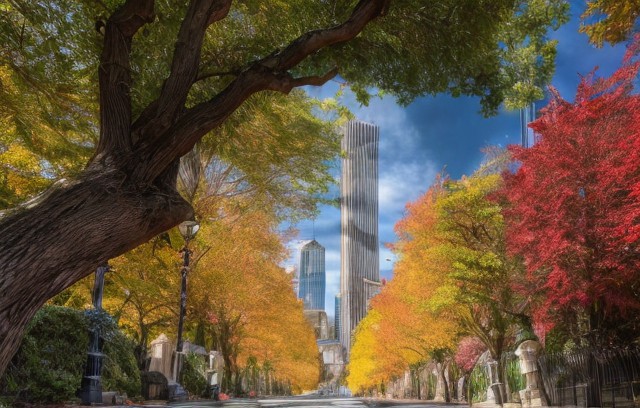 משיקוליץ (2).jpg