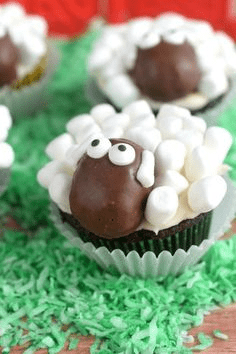 משלוח מנות לכבשה.png