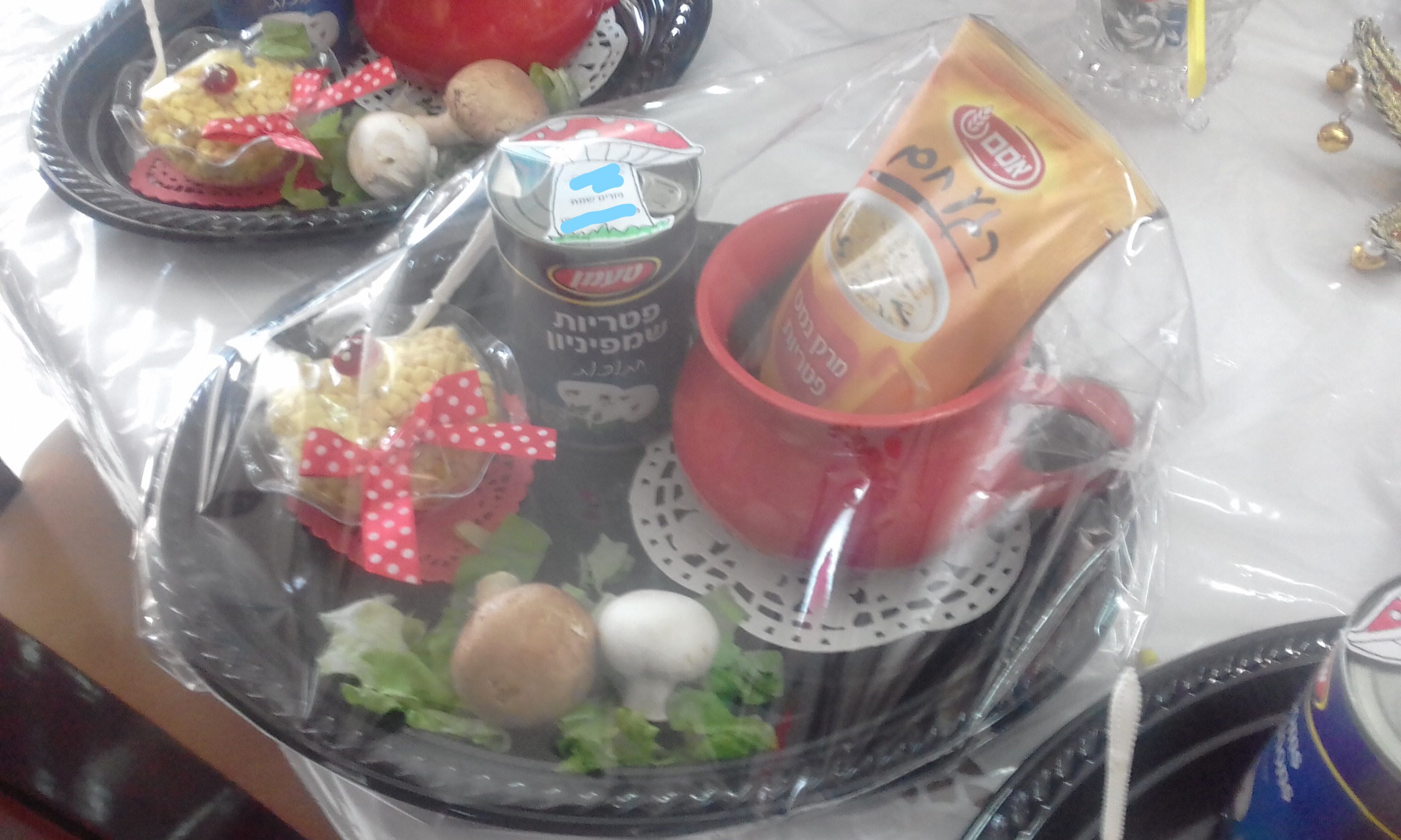 משלוח מנות.jpg