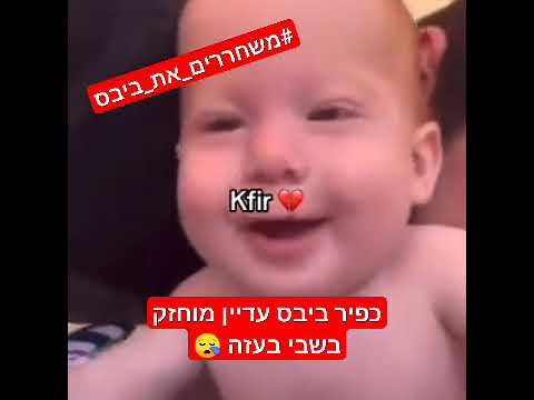 משפחת ביבס (3).jpg