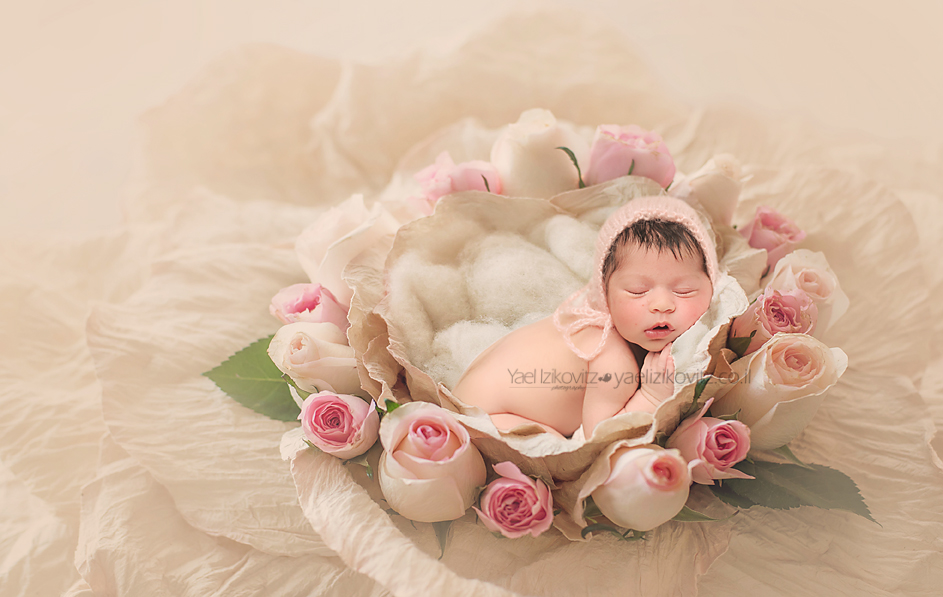 מתוך פרח.jpg מוקטן.jpg