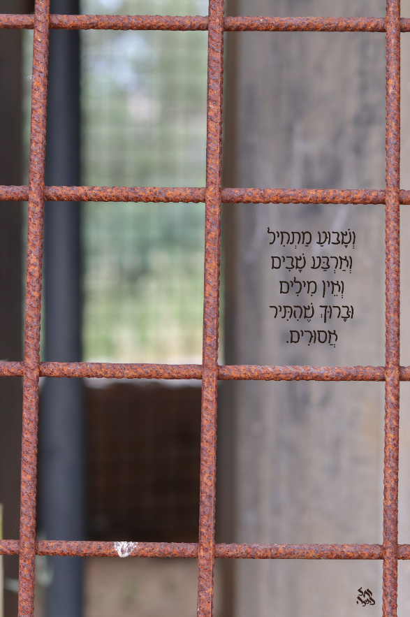 מתיר אסורים רחל אורן.png