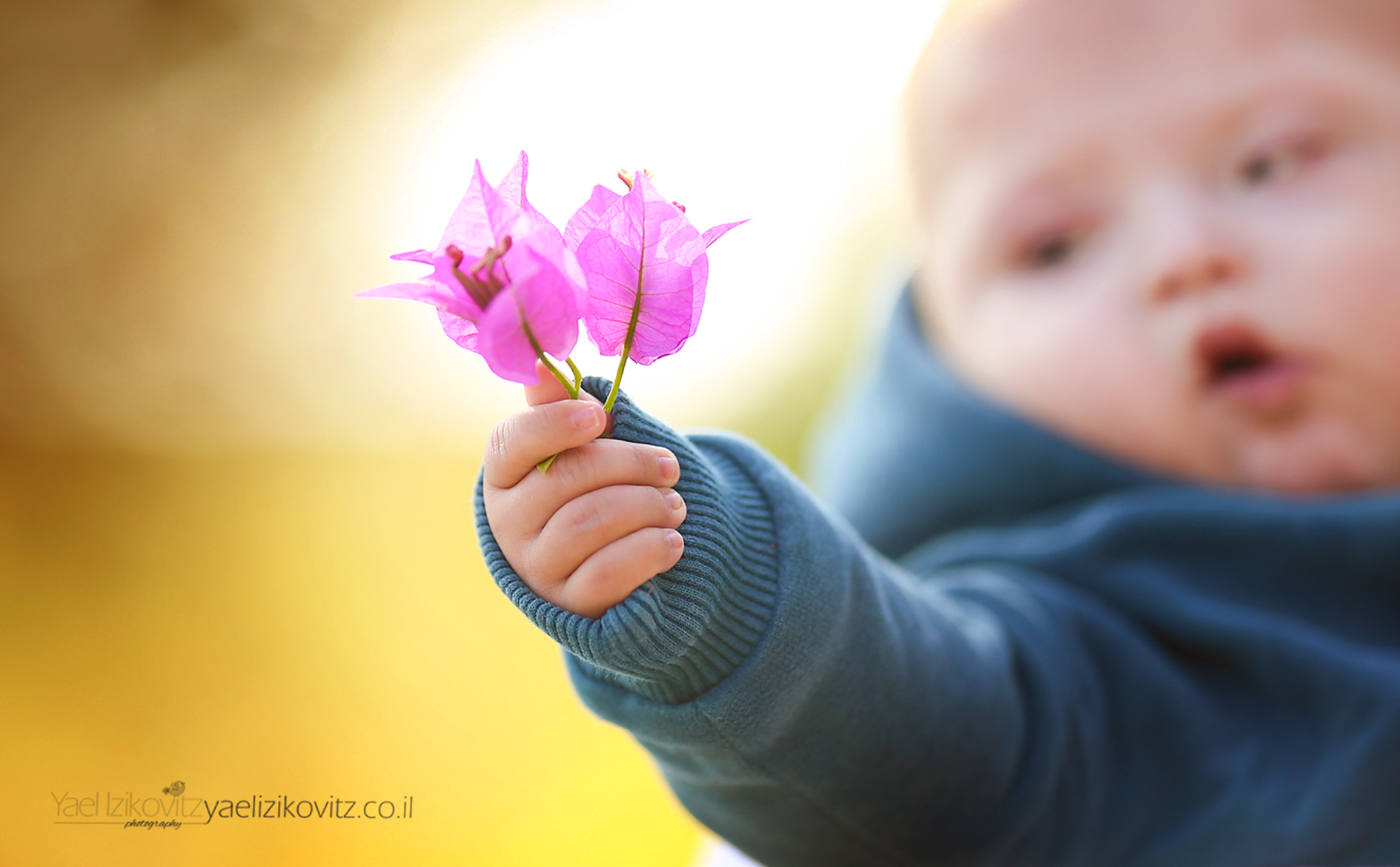 מתנאלוש 3.jpg