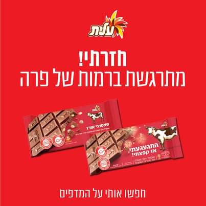 מתרגשת ברמות של פרה.jpg