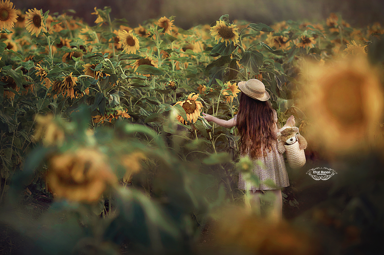 מ2סמחיבור שמיאחרוןמוקטן.jpg