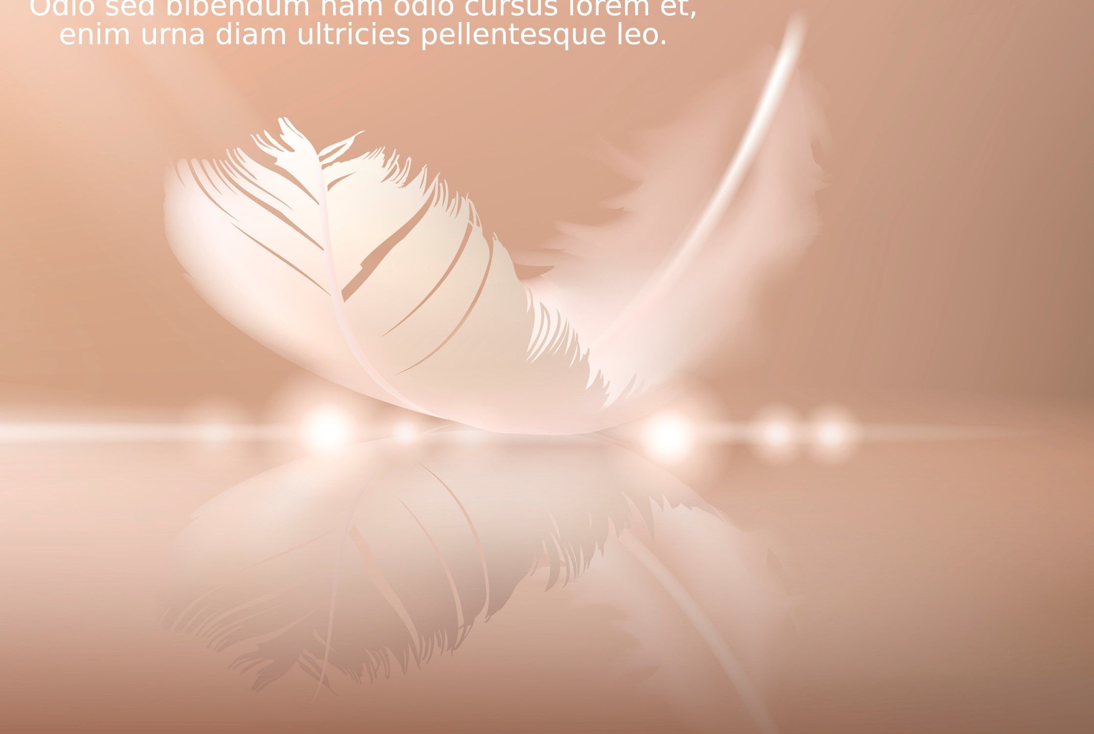 נוצה מפריפיק.jpg