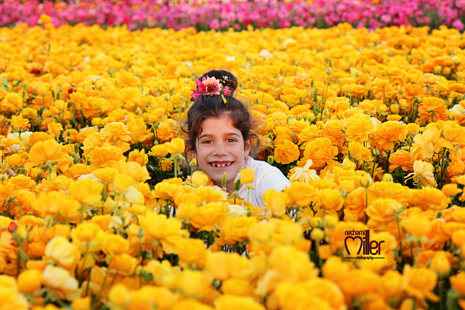 נוריות דבורי.jpg