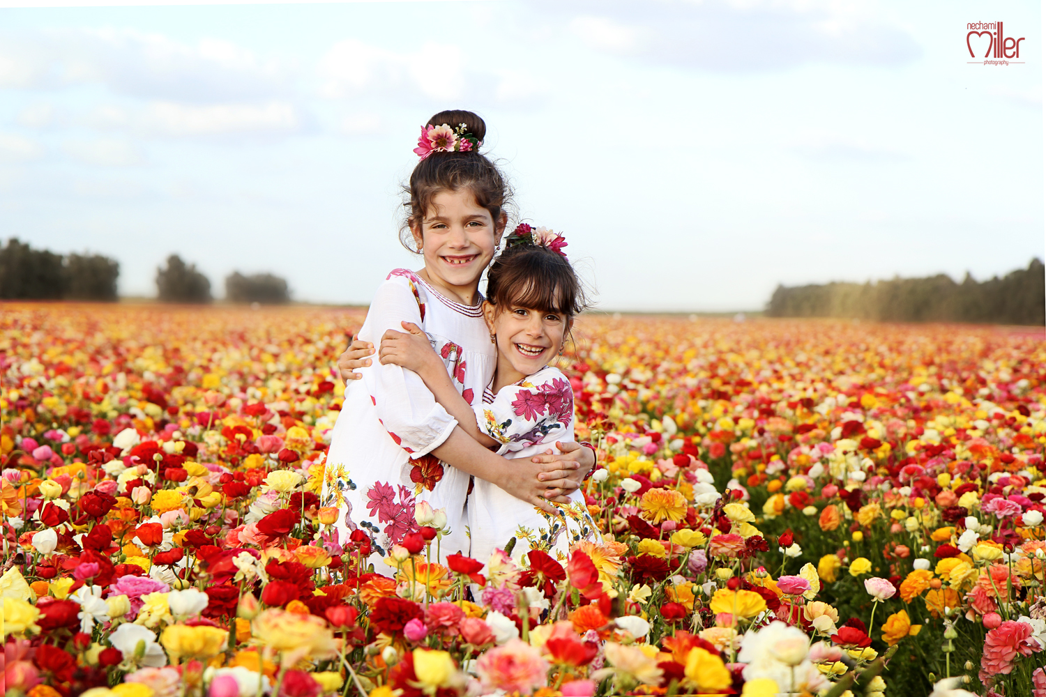 נוריות  פרוג3.jpg