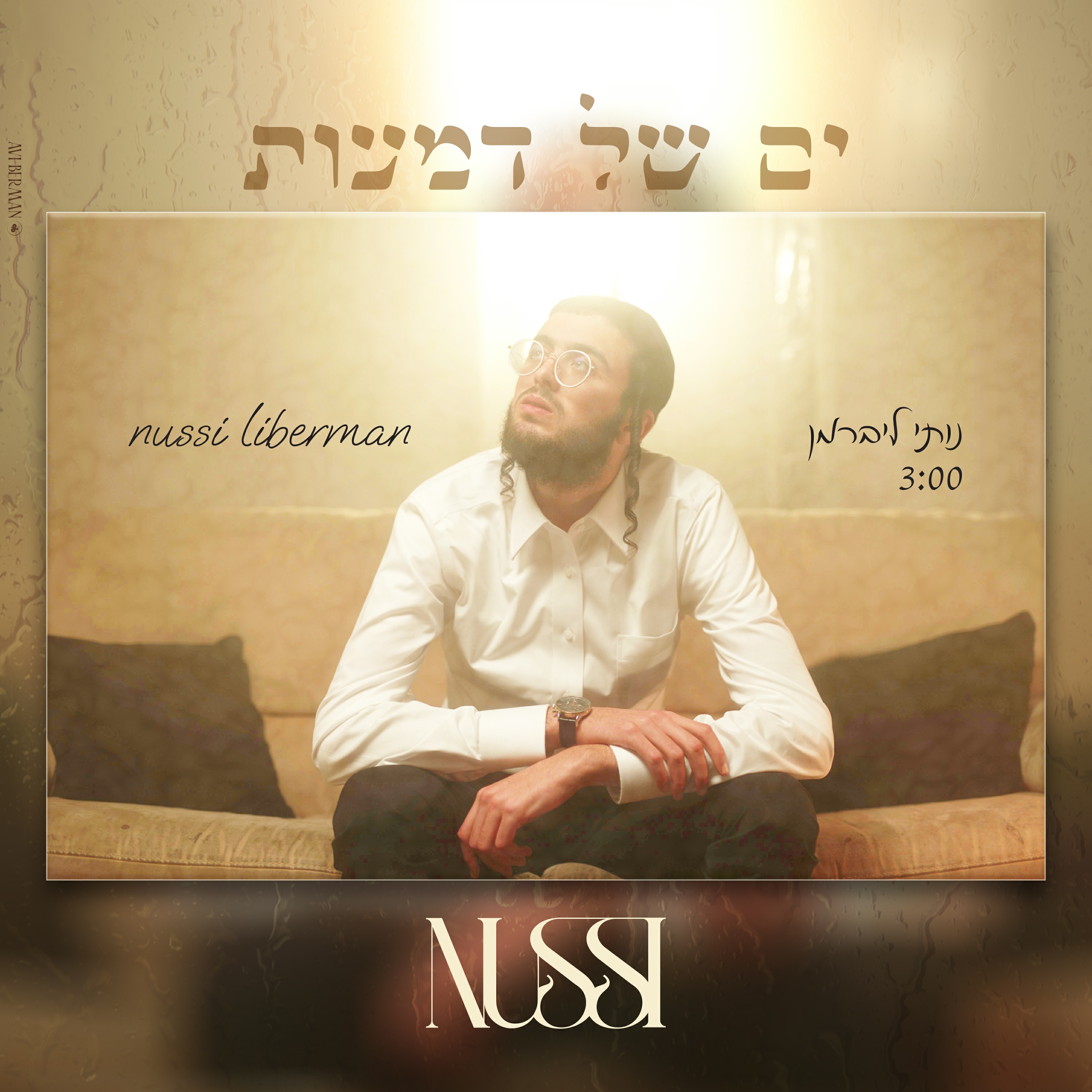 נותי ליברמן - ים של דמעות.jpg