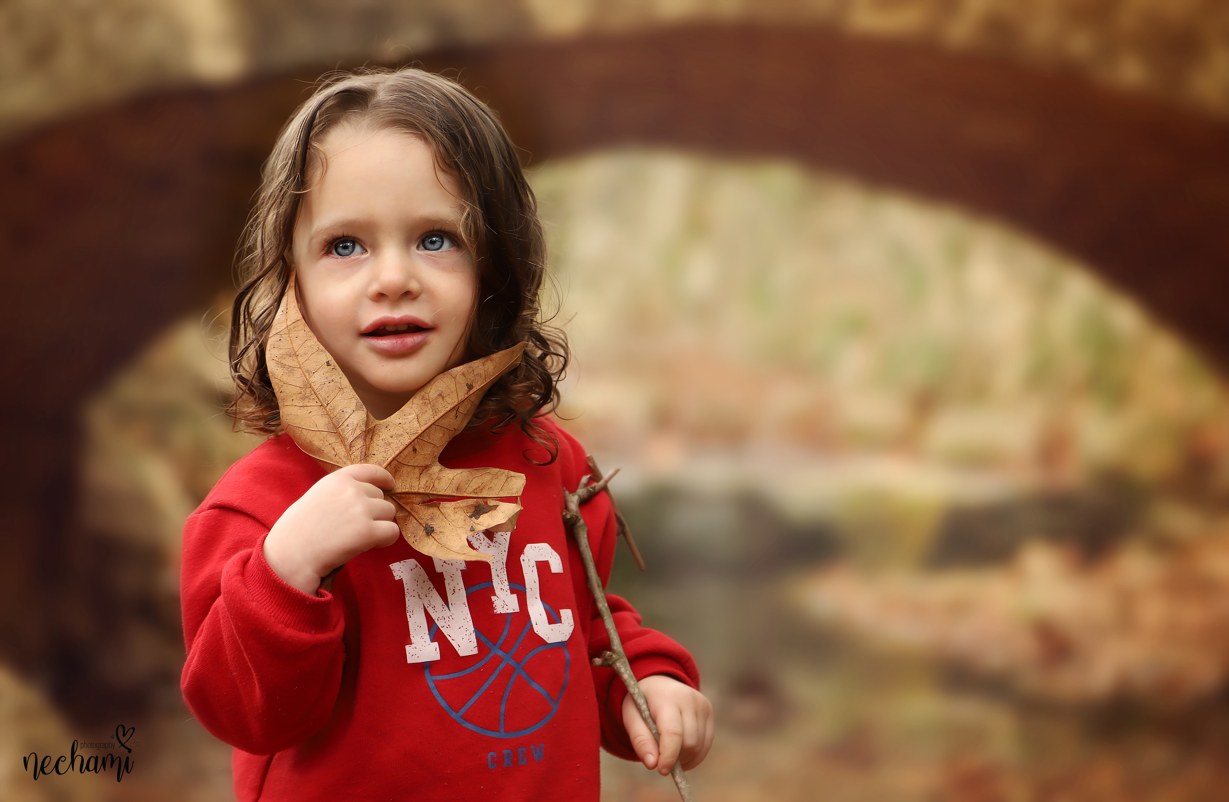 נחל דגים עלה copy.jpg