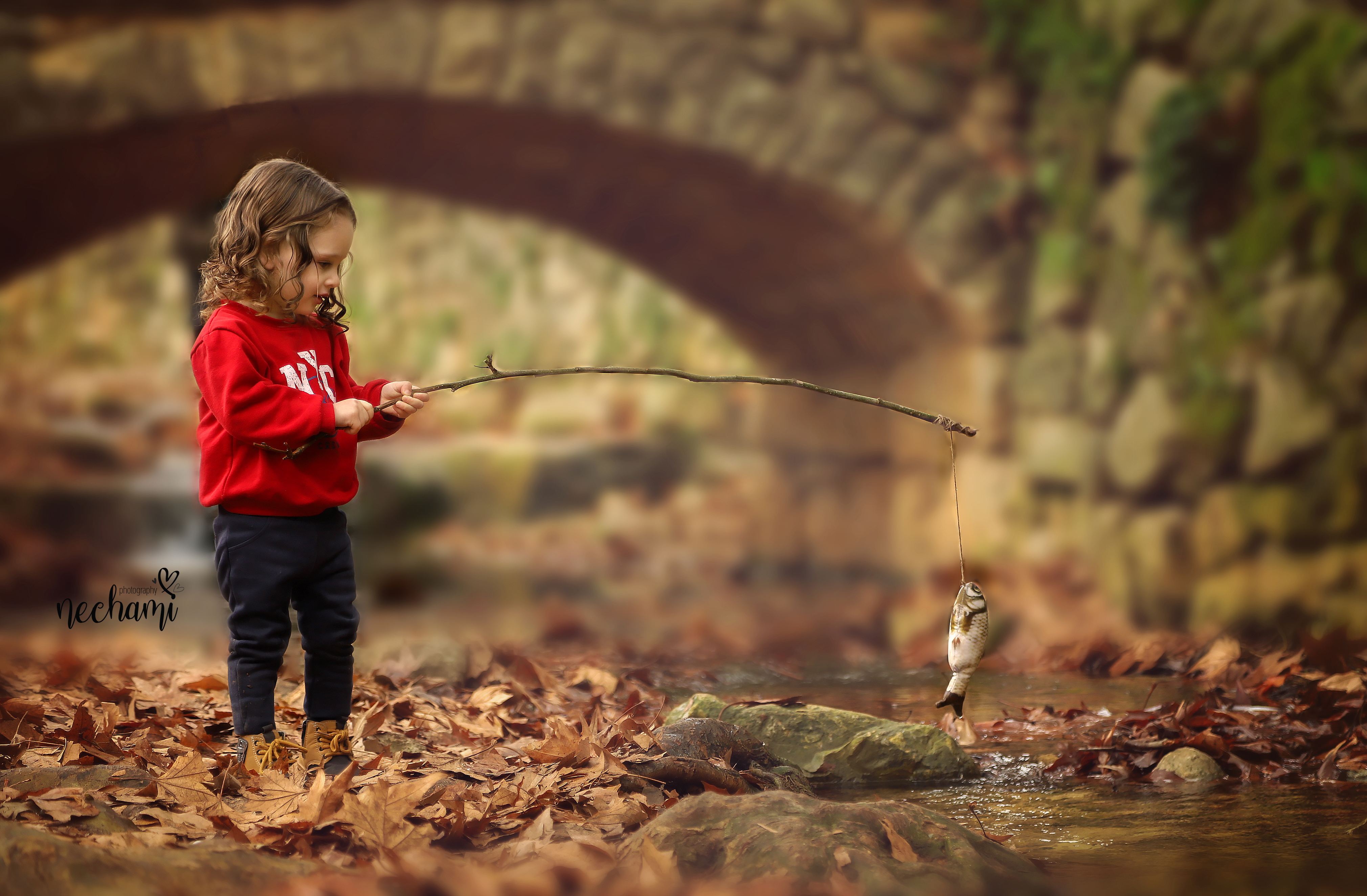 נחל דגים רחוק  copy.jpg