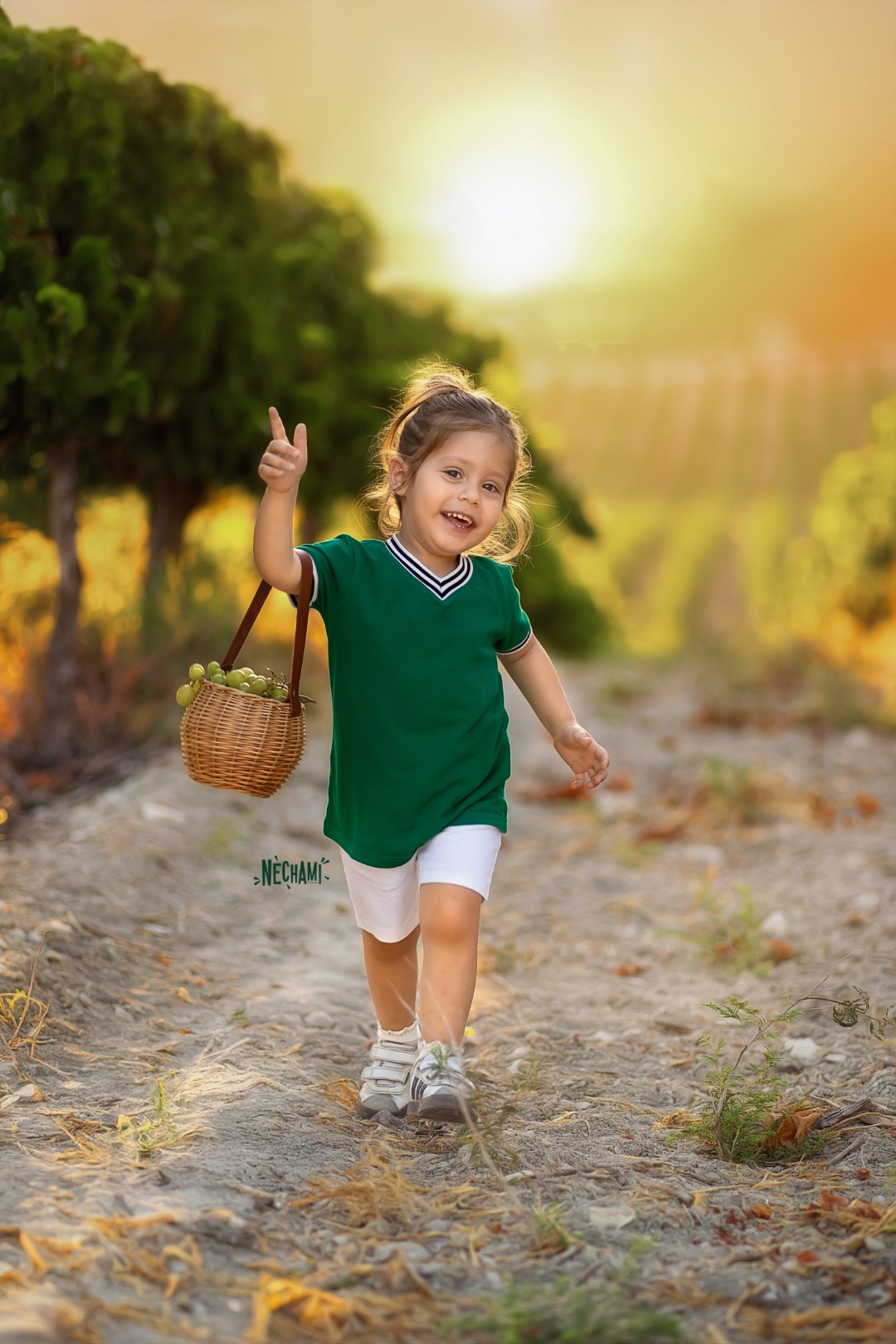 נחמיפרקש צילום 0556733034.jpg