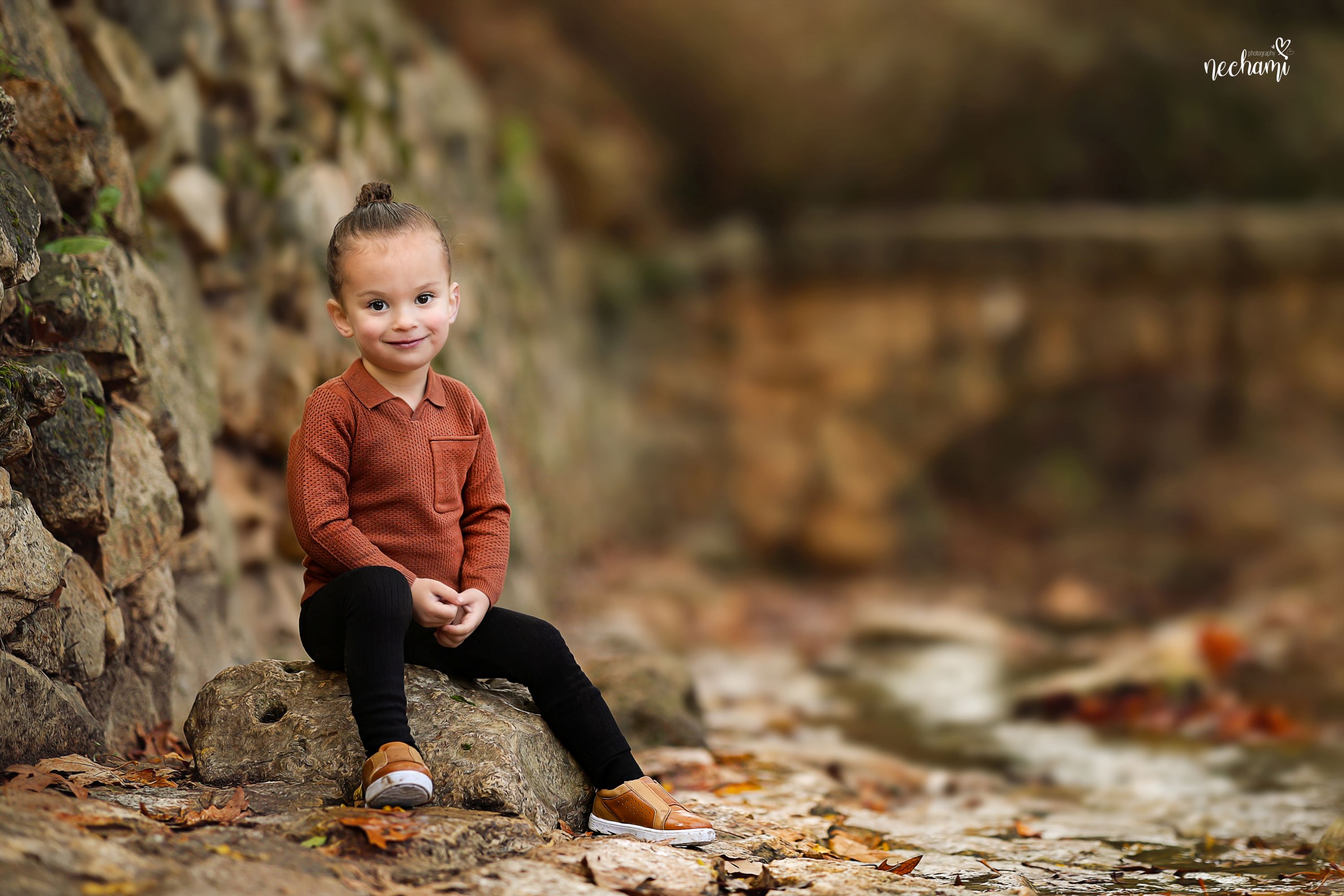 נחמי למברגר 0548525361 (10) (1).jpg