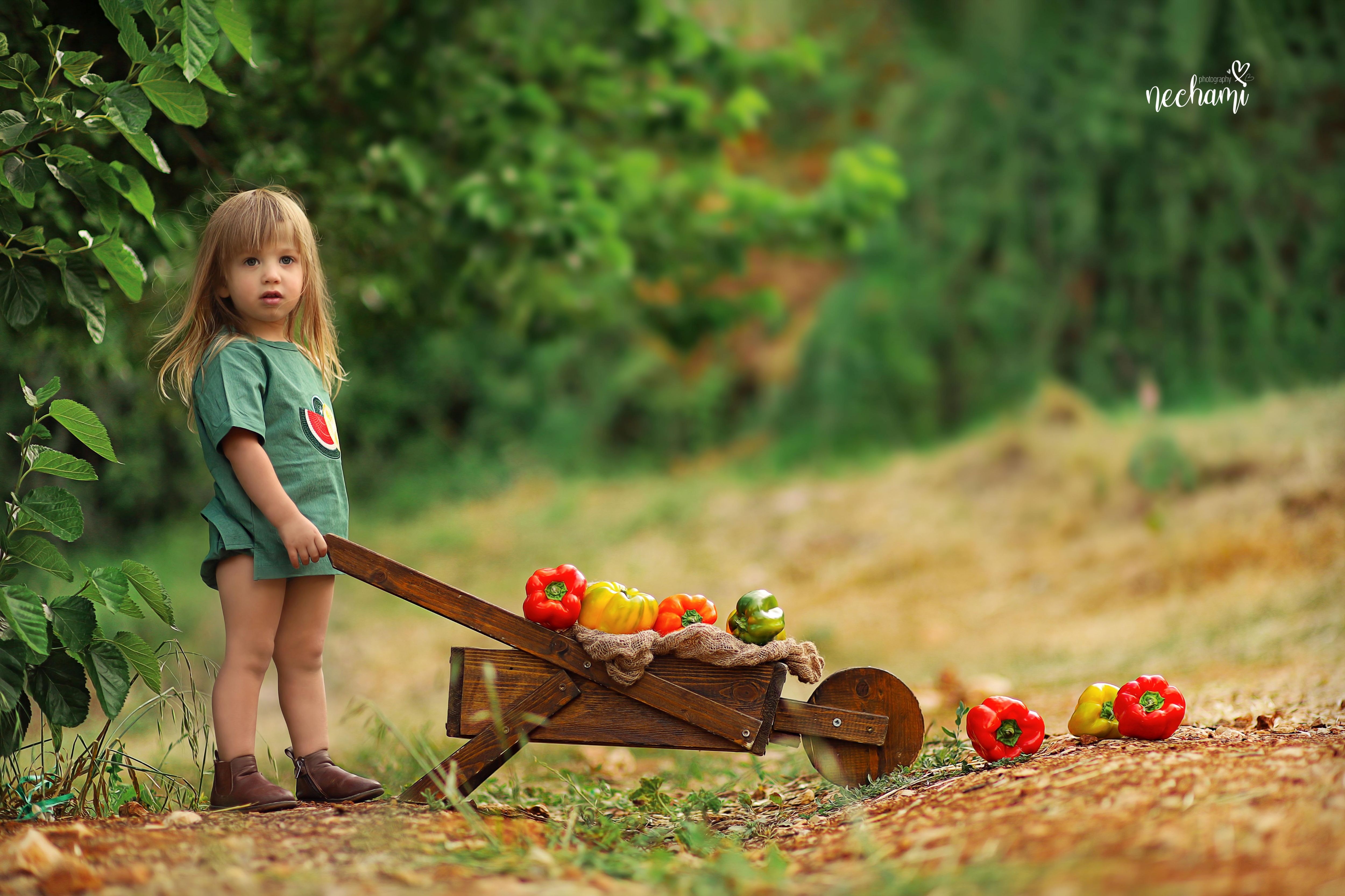 נחמי למברגר 0548525361 (18).jpg