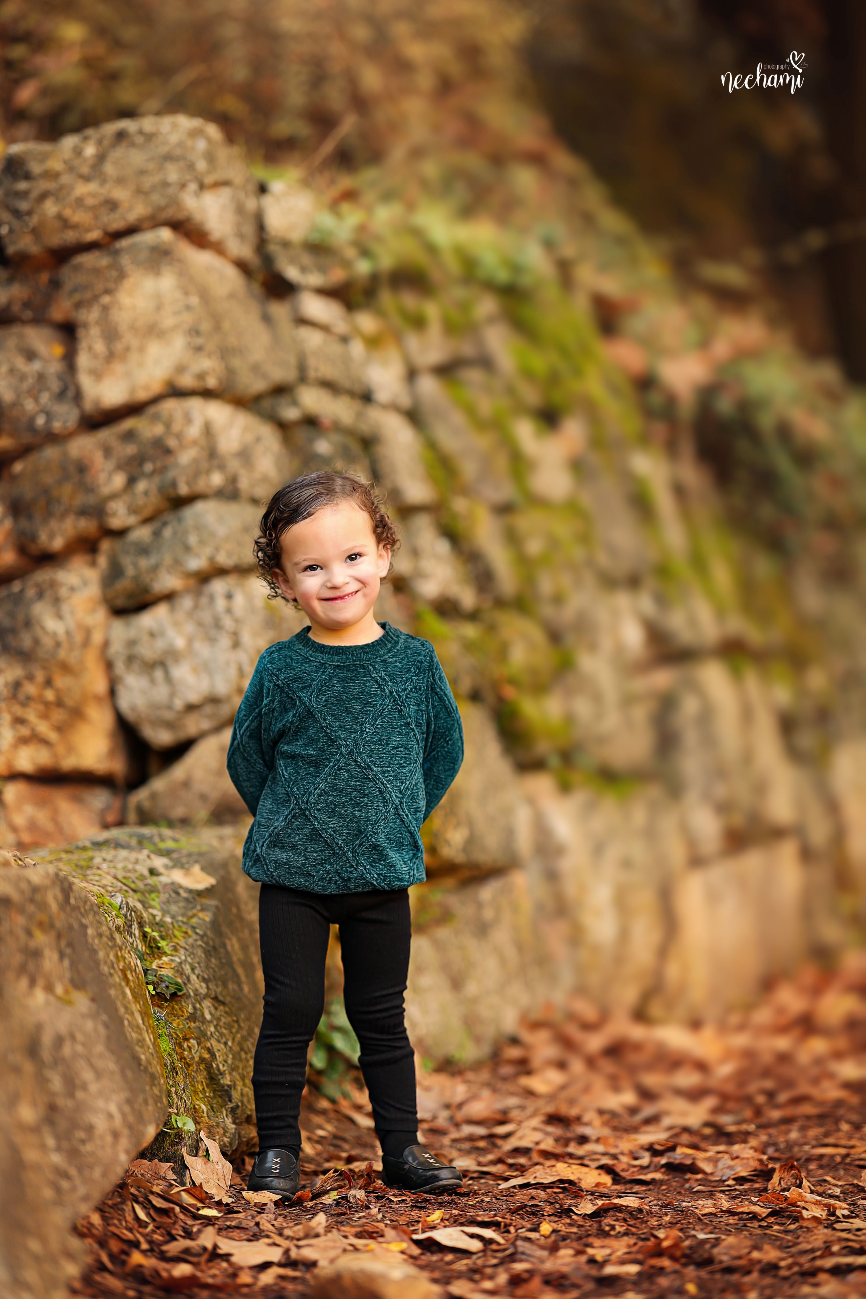 נחמי למברגר 0548525361 (4) (1).jpg