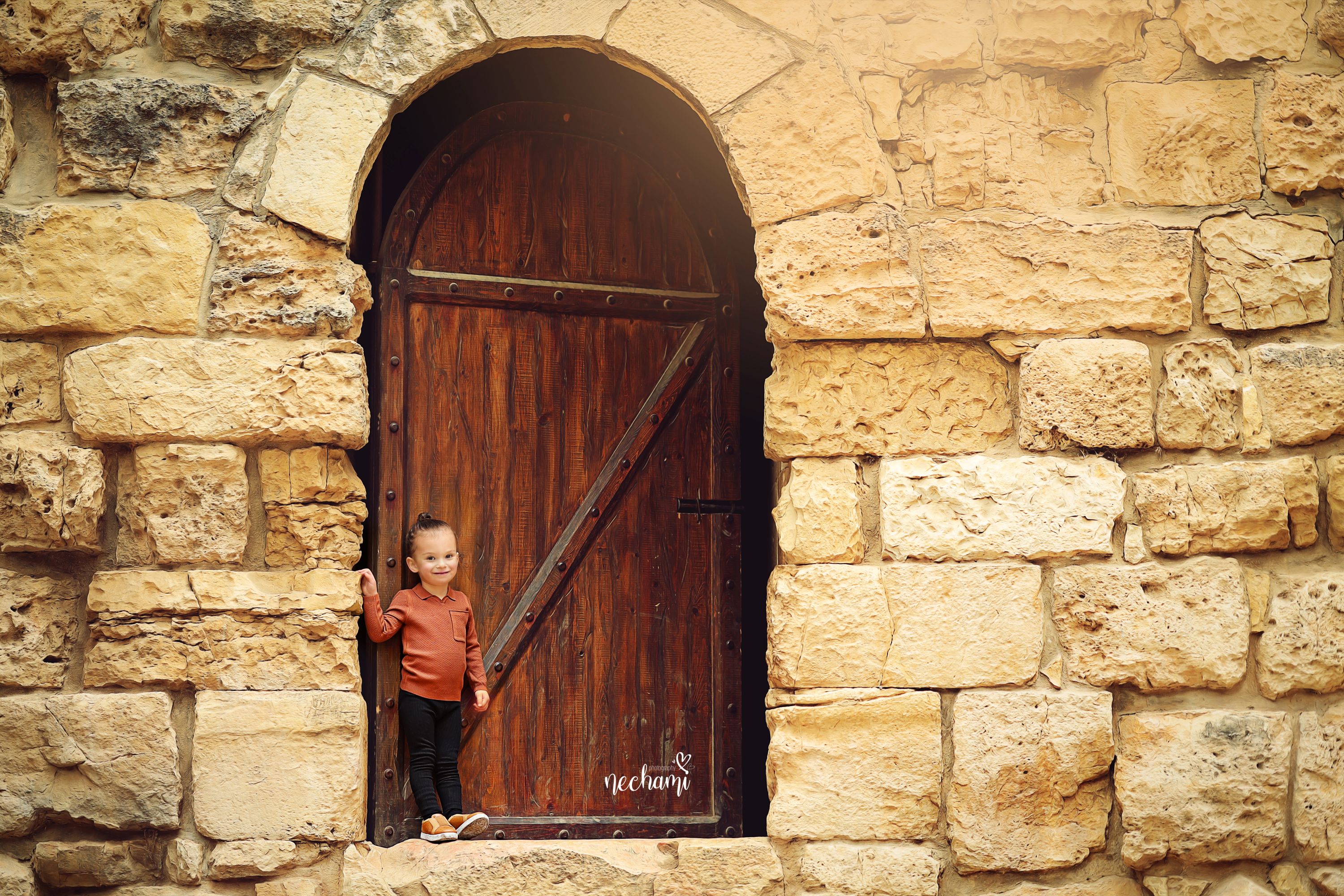 נחמי למברגר 0548525361 (5) (1).jpg