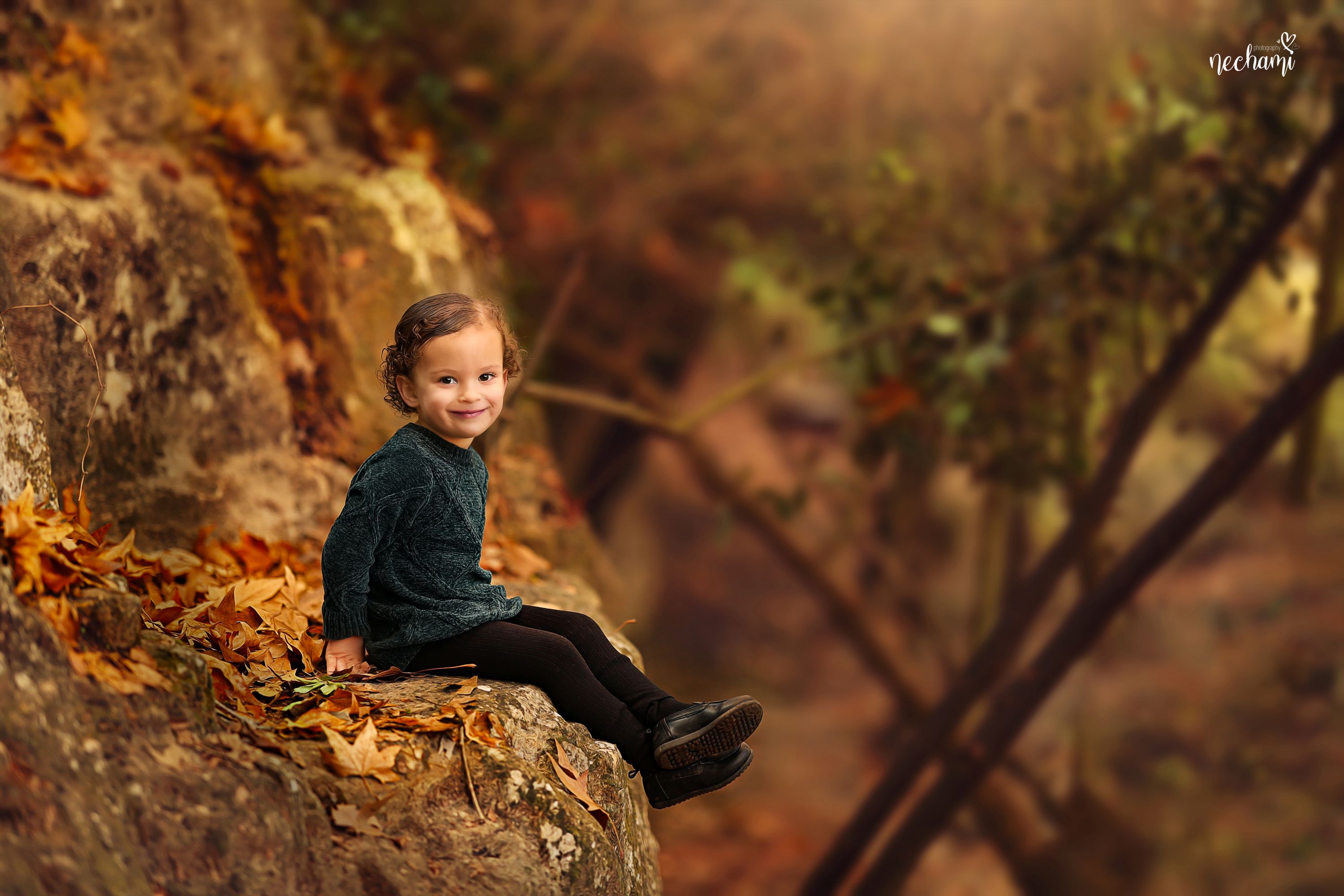 נחמי למברגר 0548525361 (8) (1).jpg