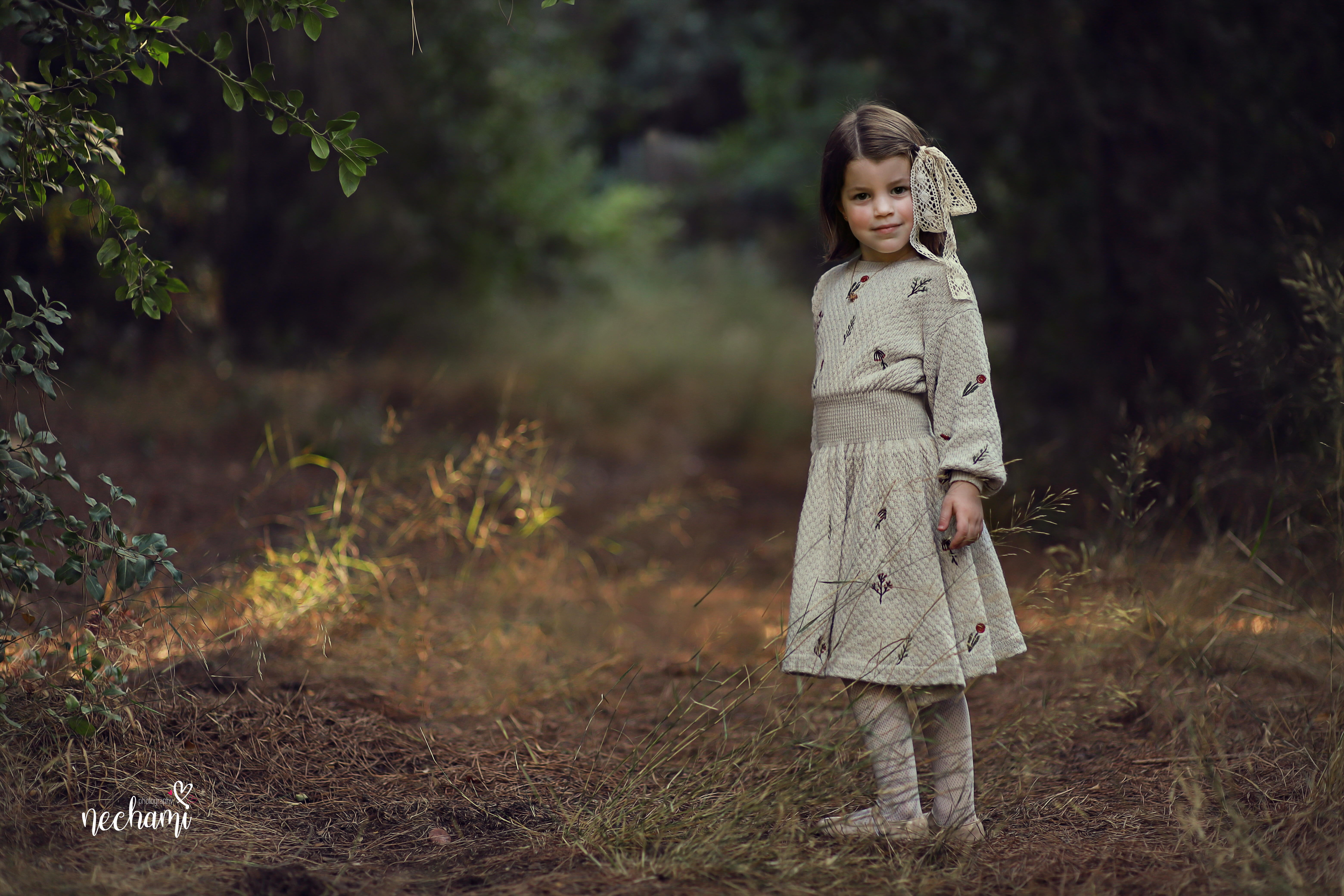 נחמי למברגר            0548525361.jpg