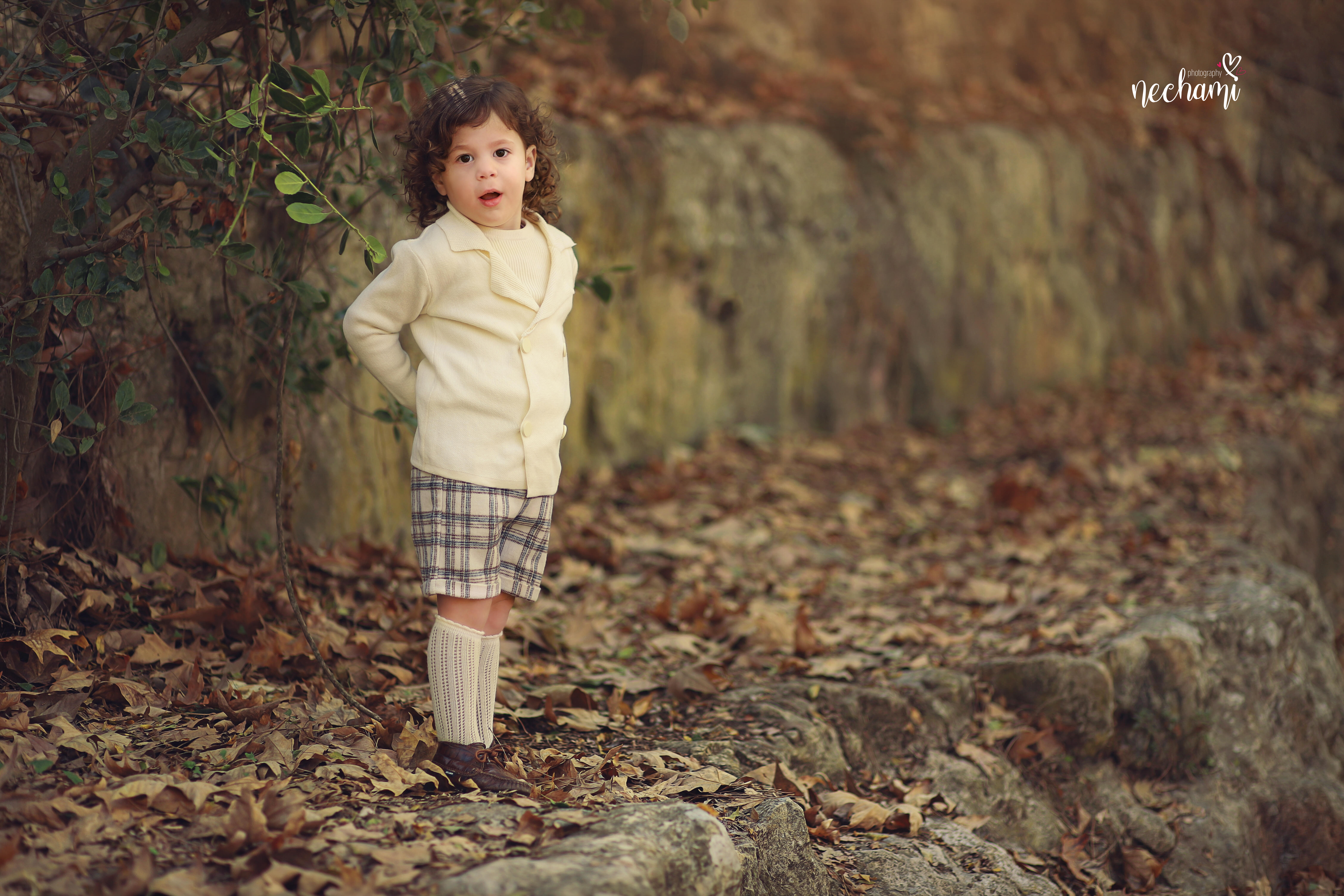 נחמי למברגר     0548525361.jpg