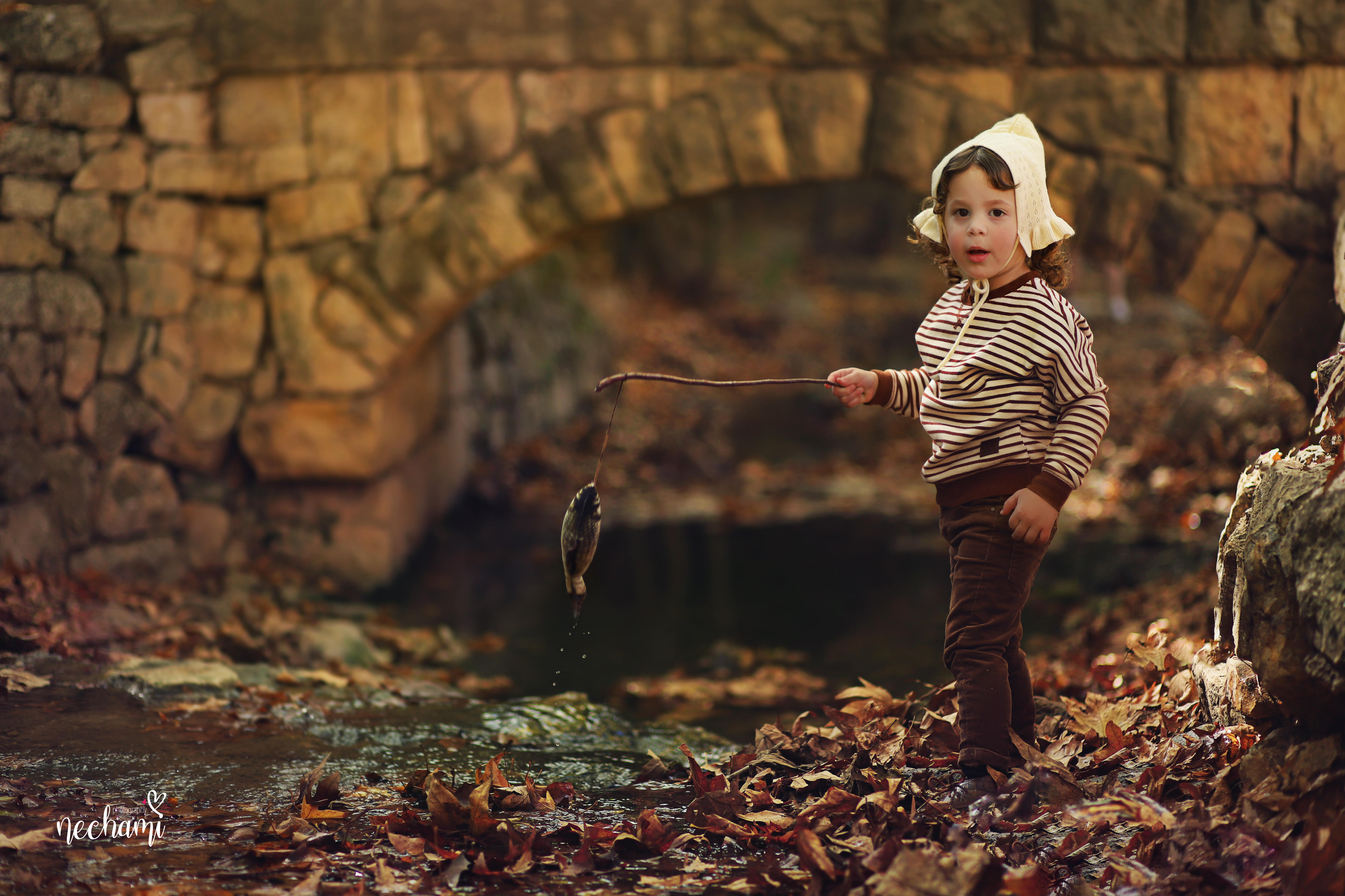 נחמי למברגר    0548525361.jpg