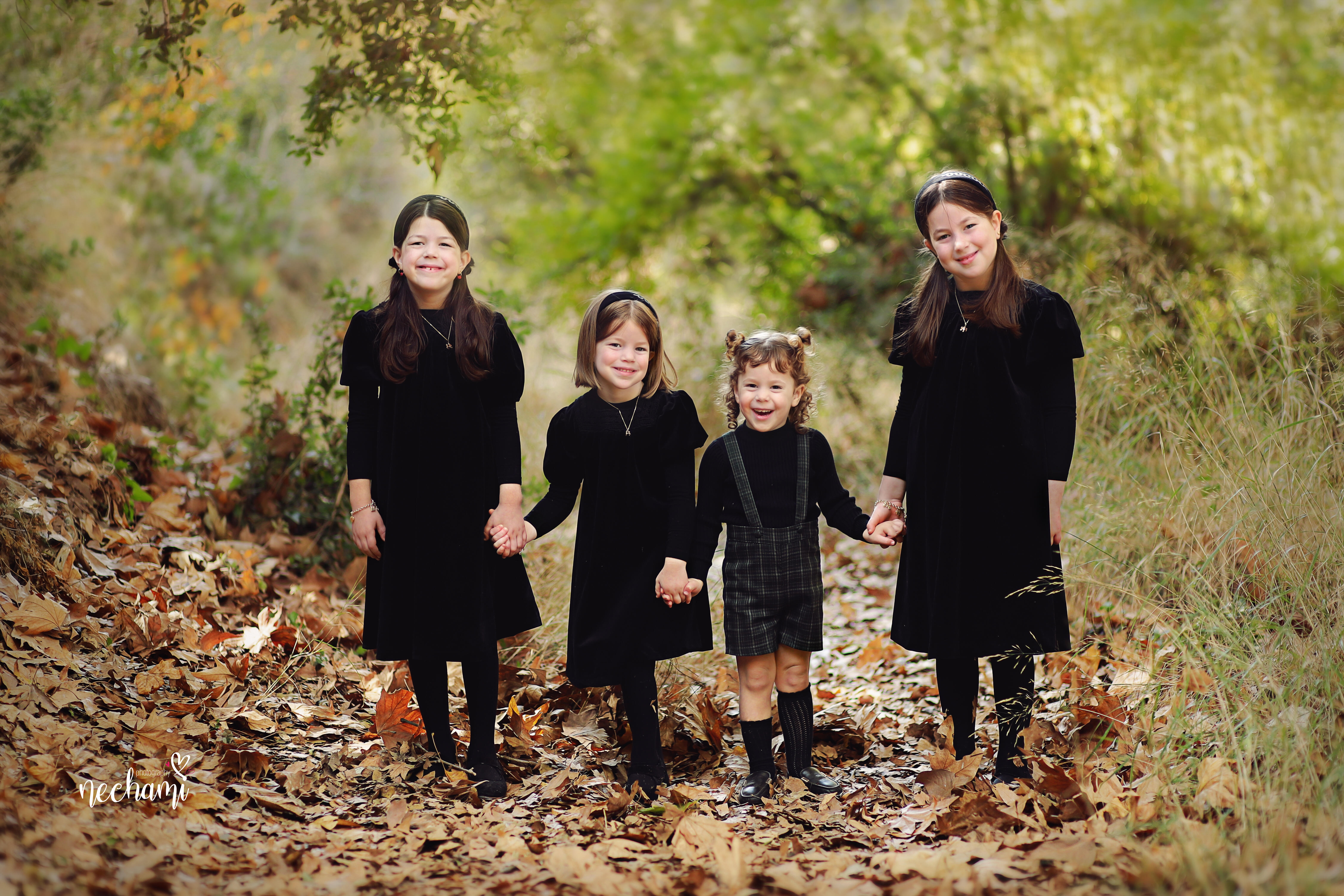 נחמי למברגר.          0548525361.jpg