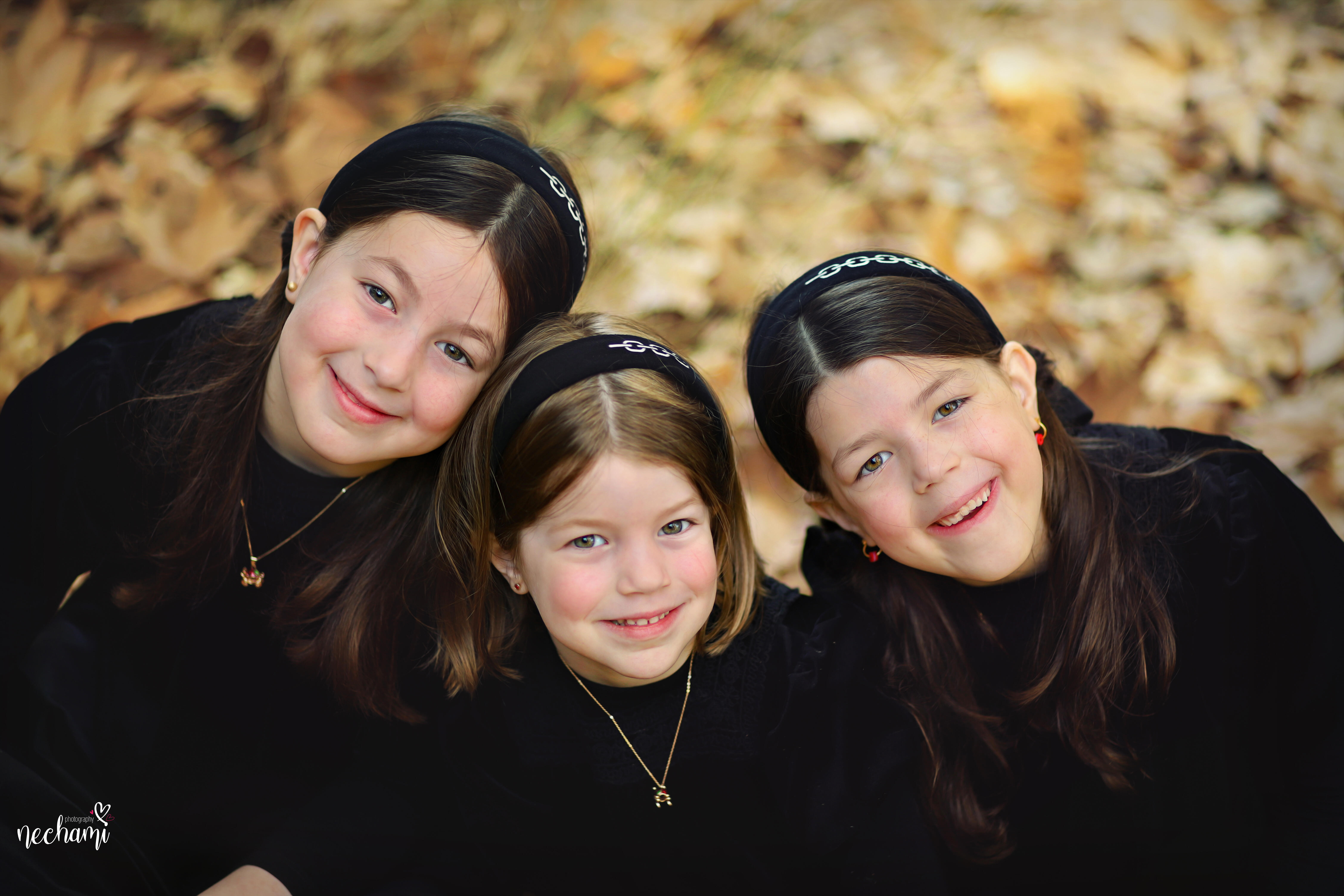 נחמי    למברגר          0548525361.jpg