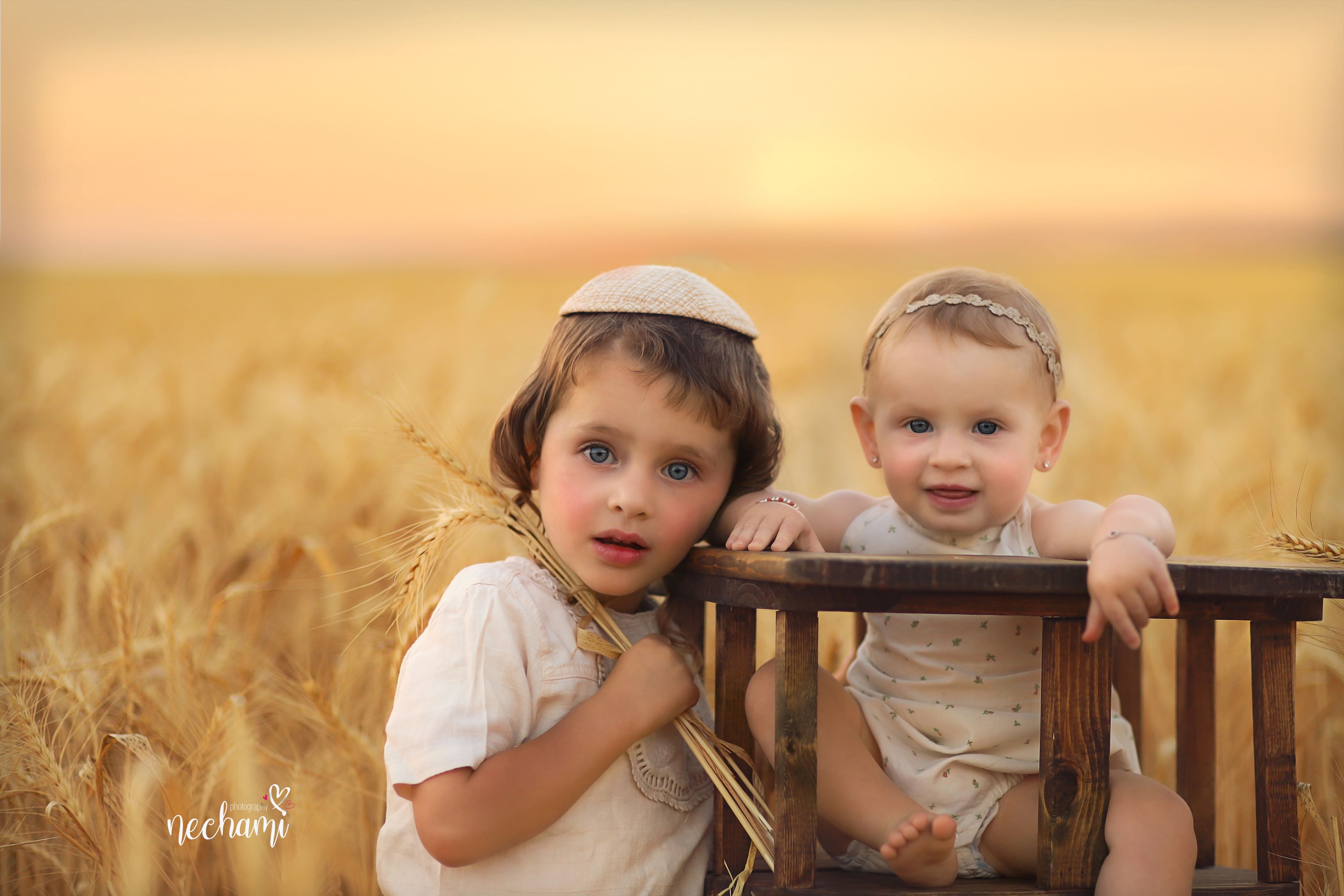 נחמי-למברגר  0548525361.jpg