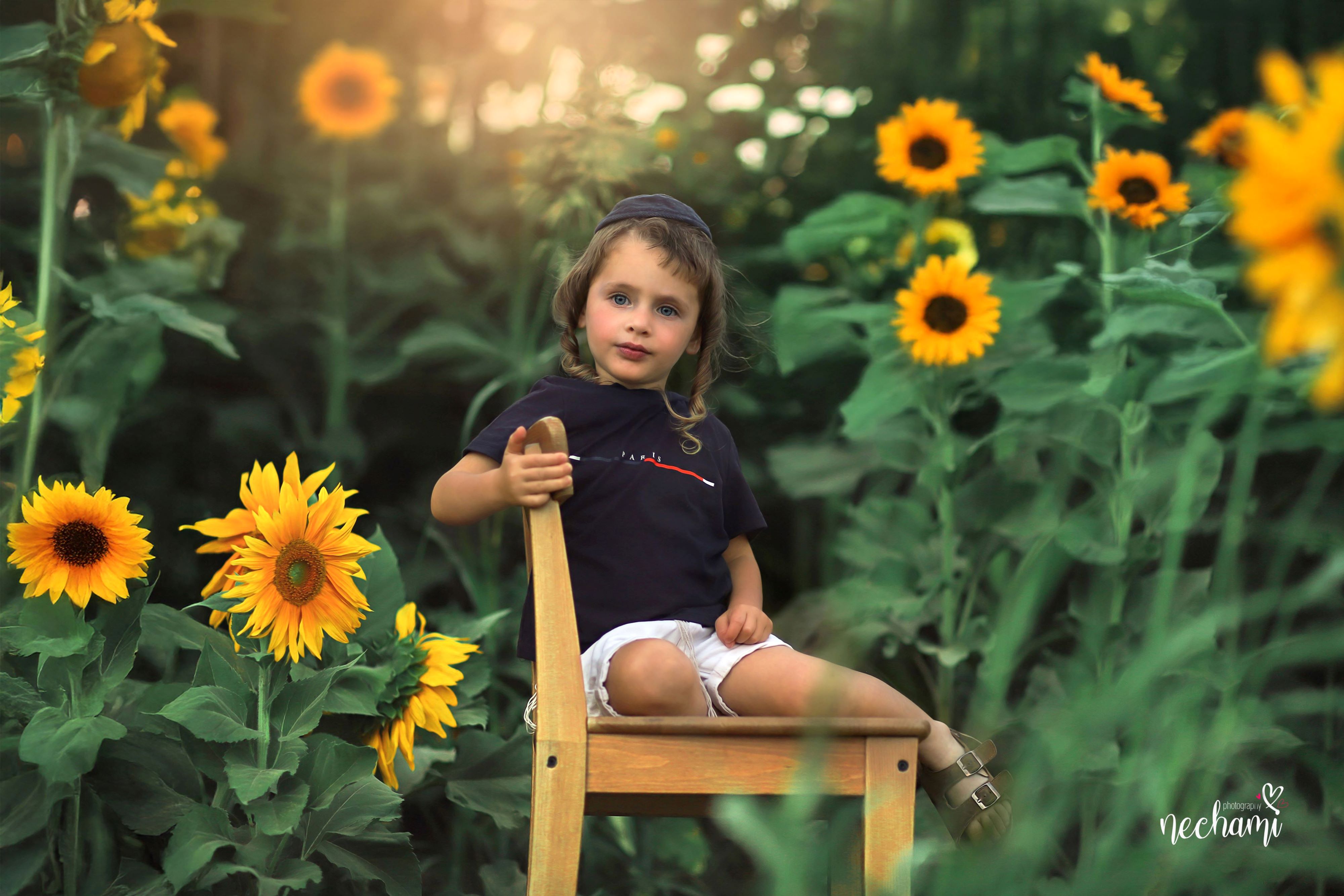 נחמי-למברגר        0548525361.jpg