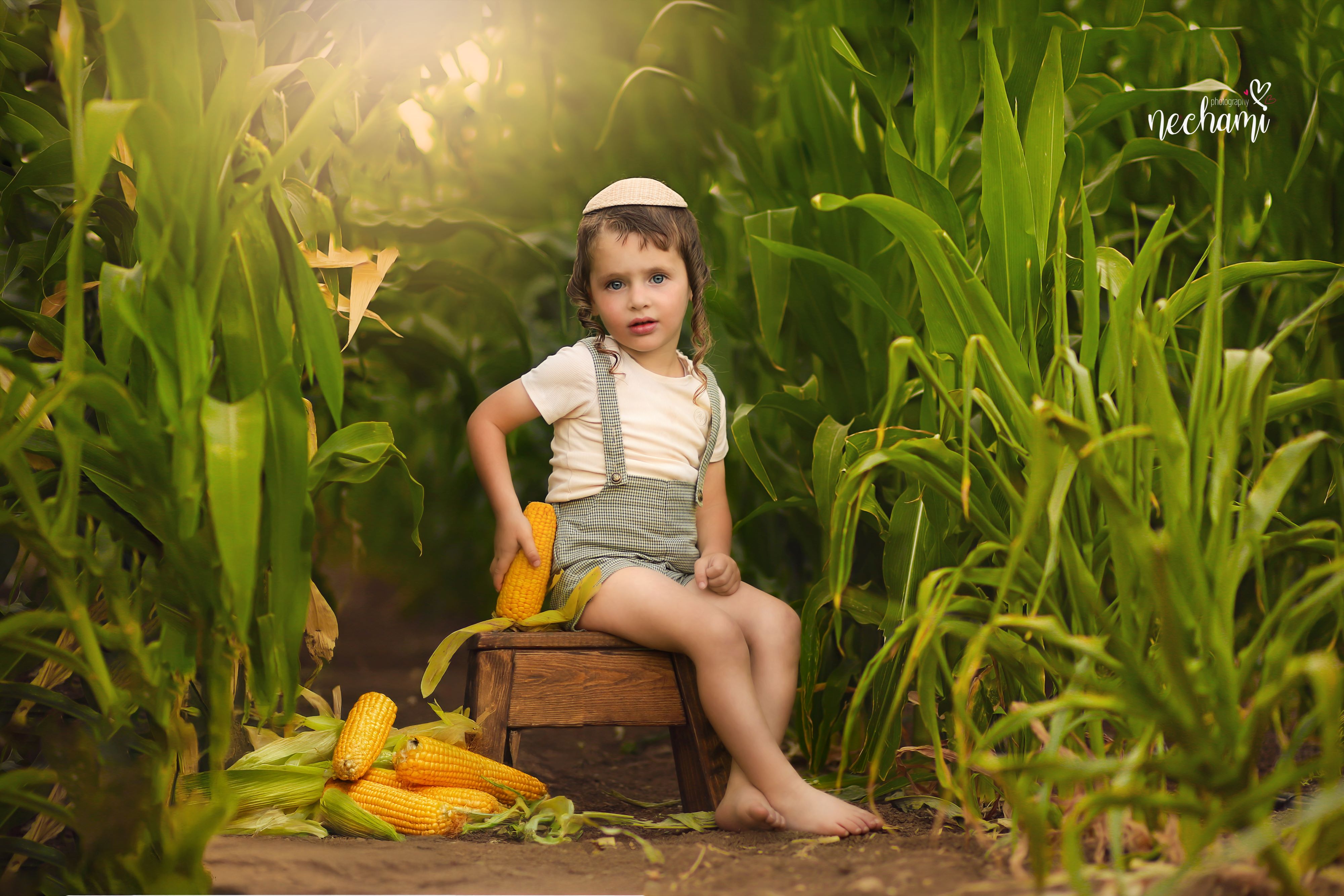 נחמי-למברגר      0548525361.jpg